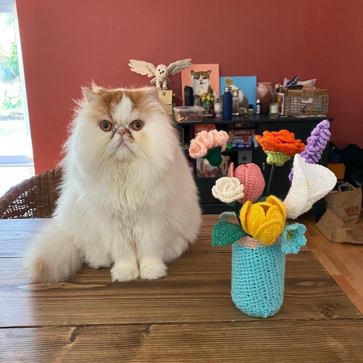 Portrait of Marshmallow, the cat