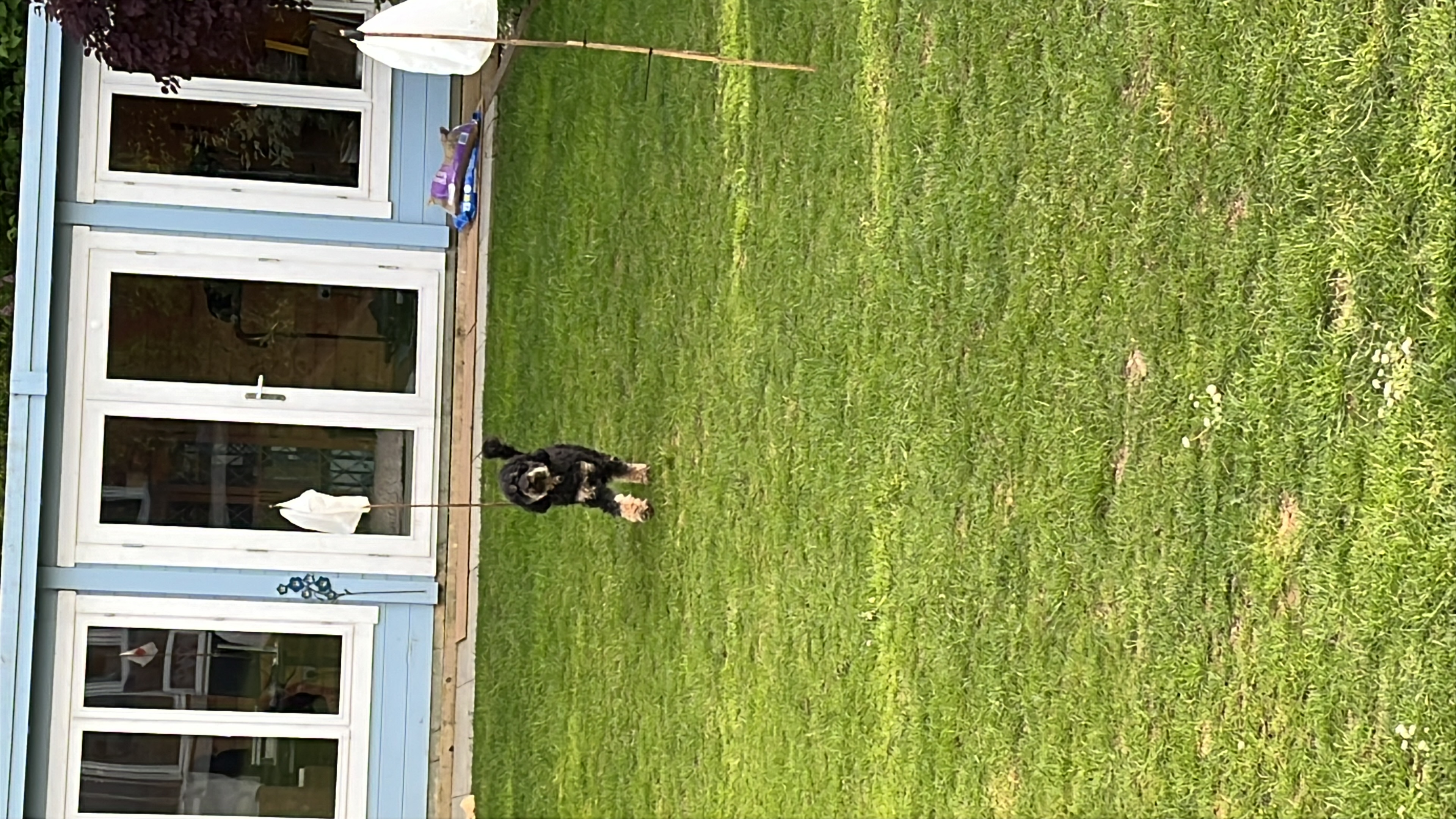 image-16
