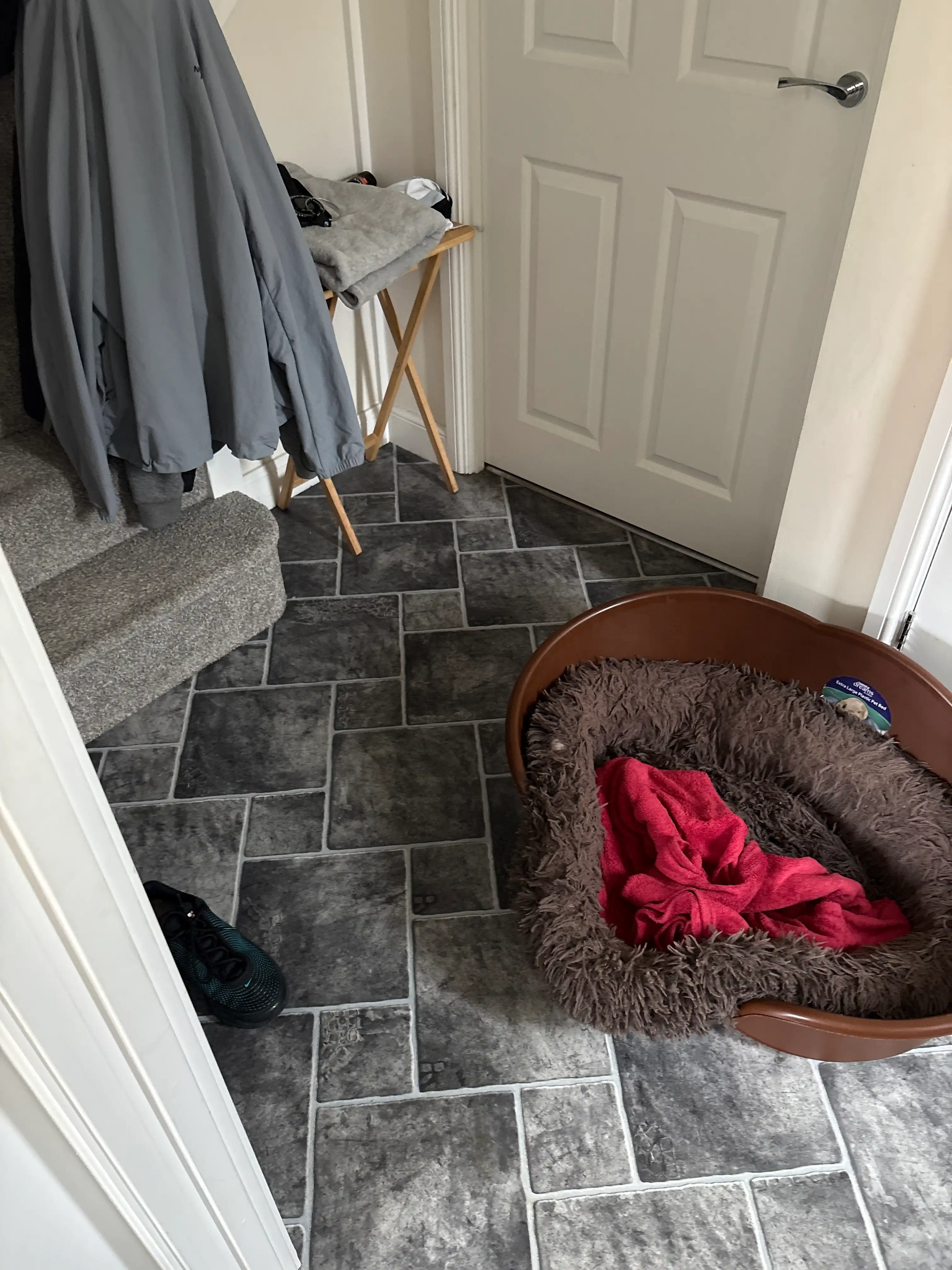 image-19