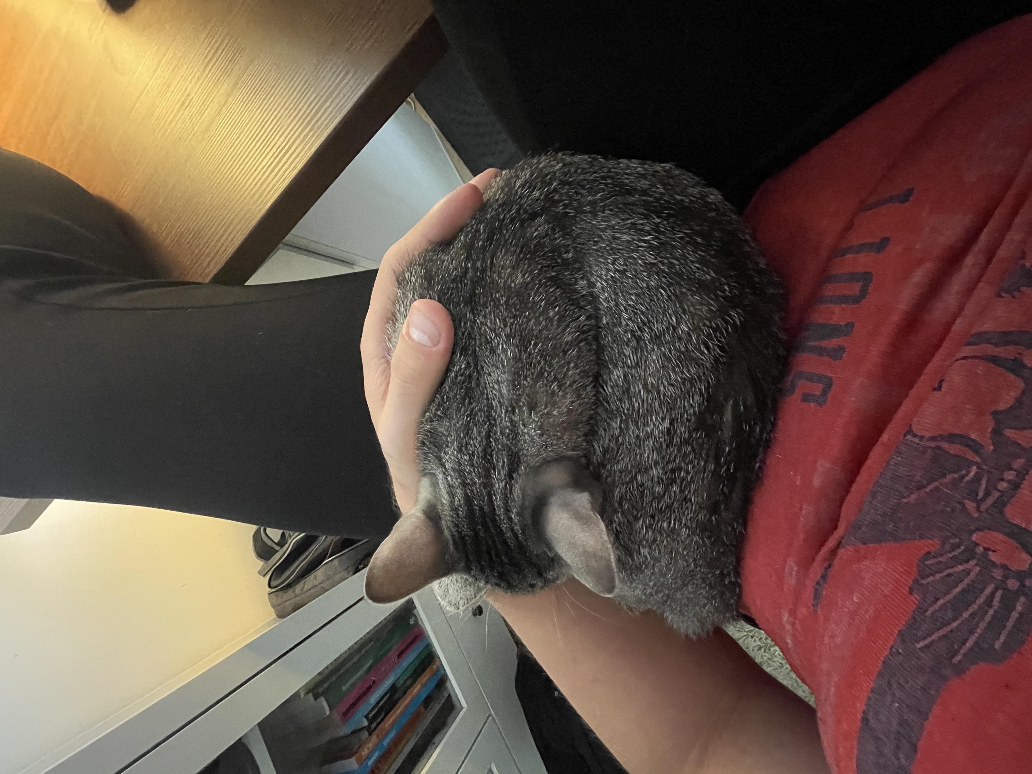 image-10