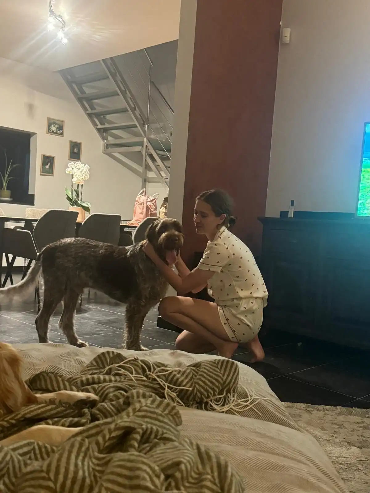 image-11