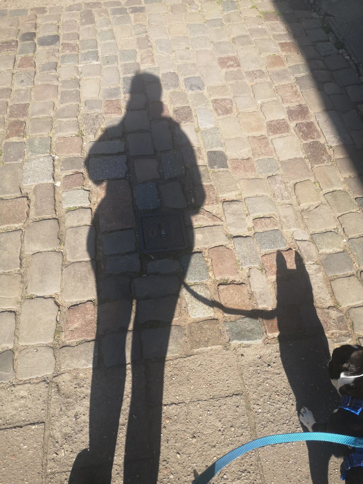 image-7