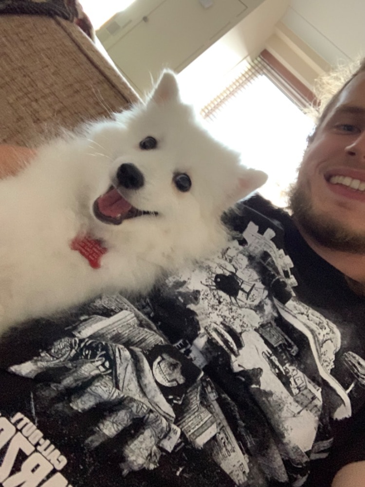 image-6