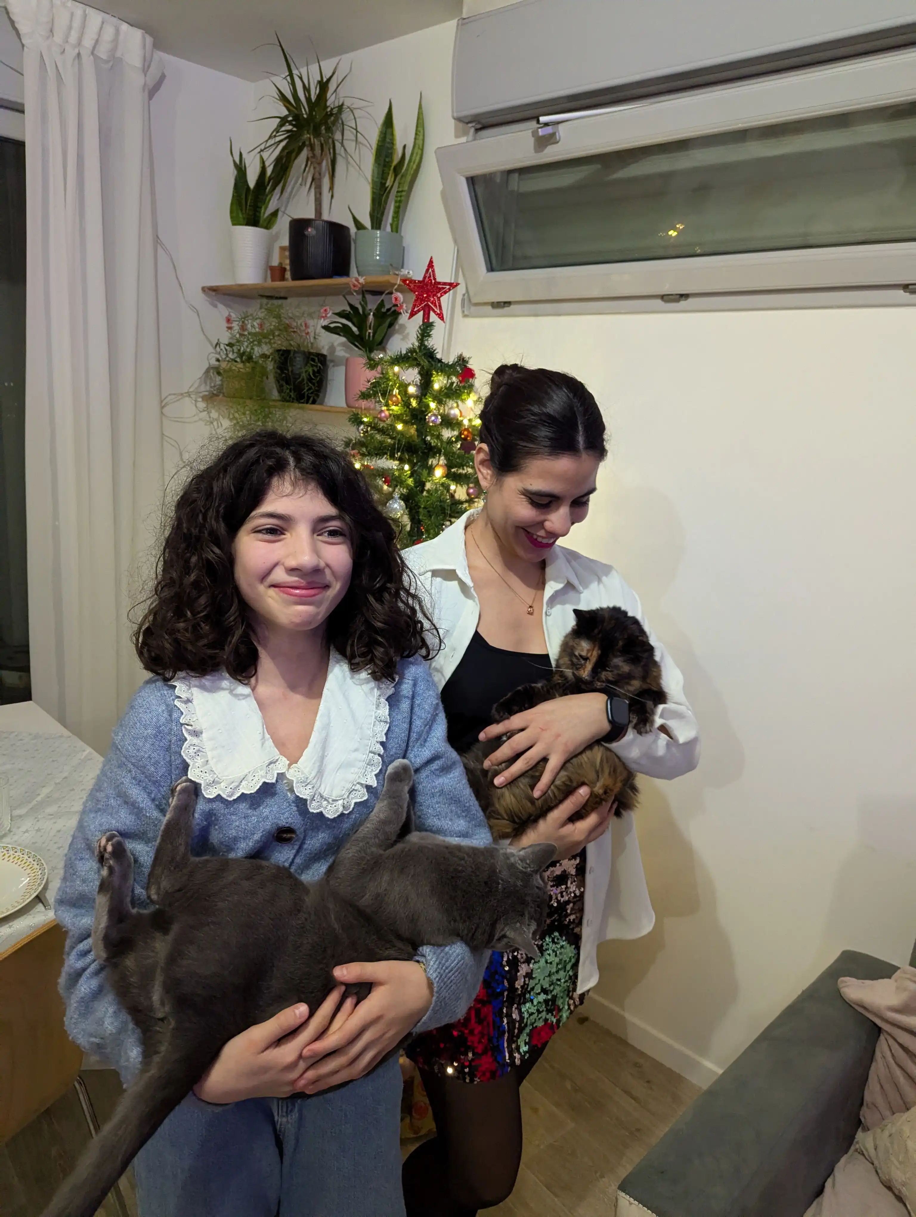 image-17