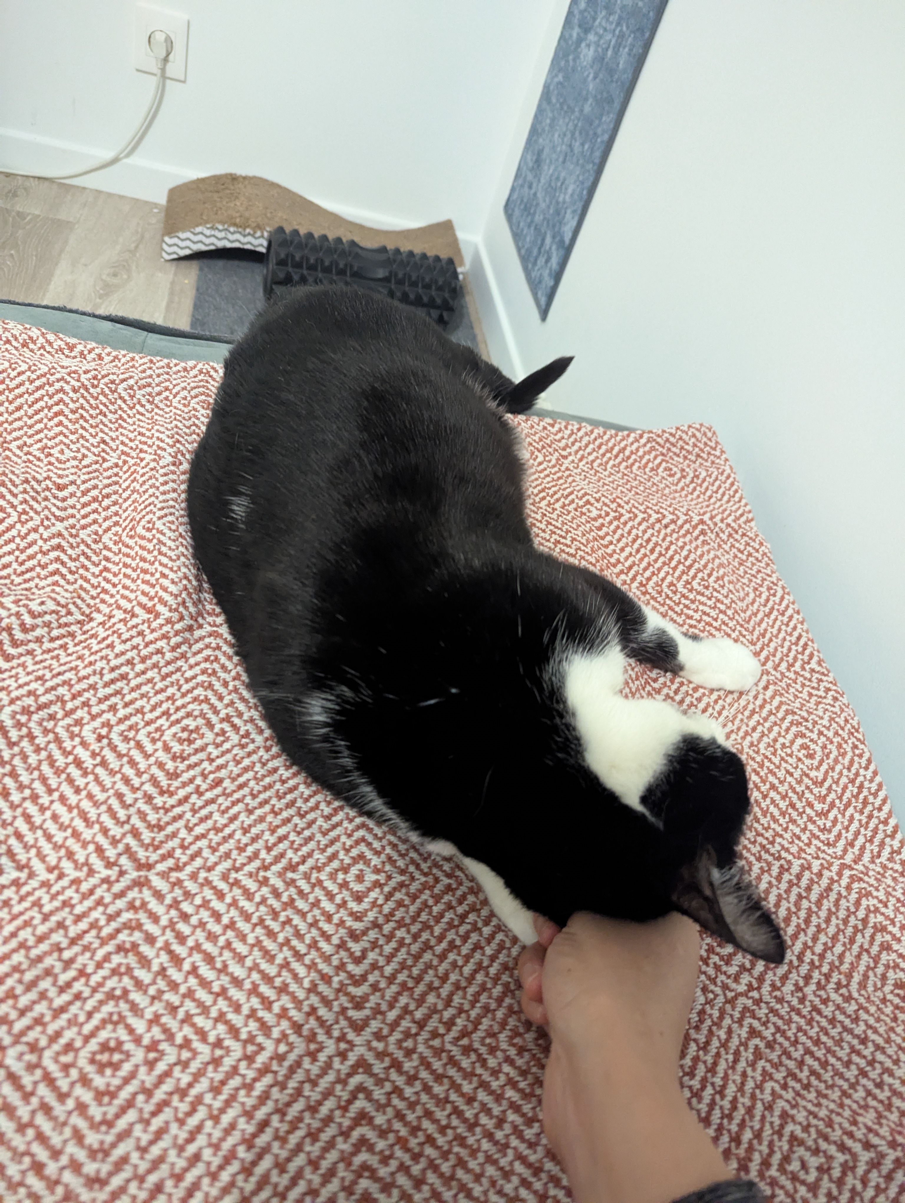 image-11