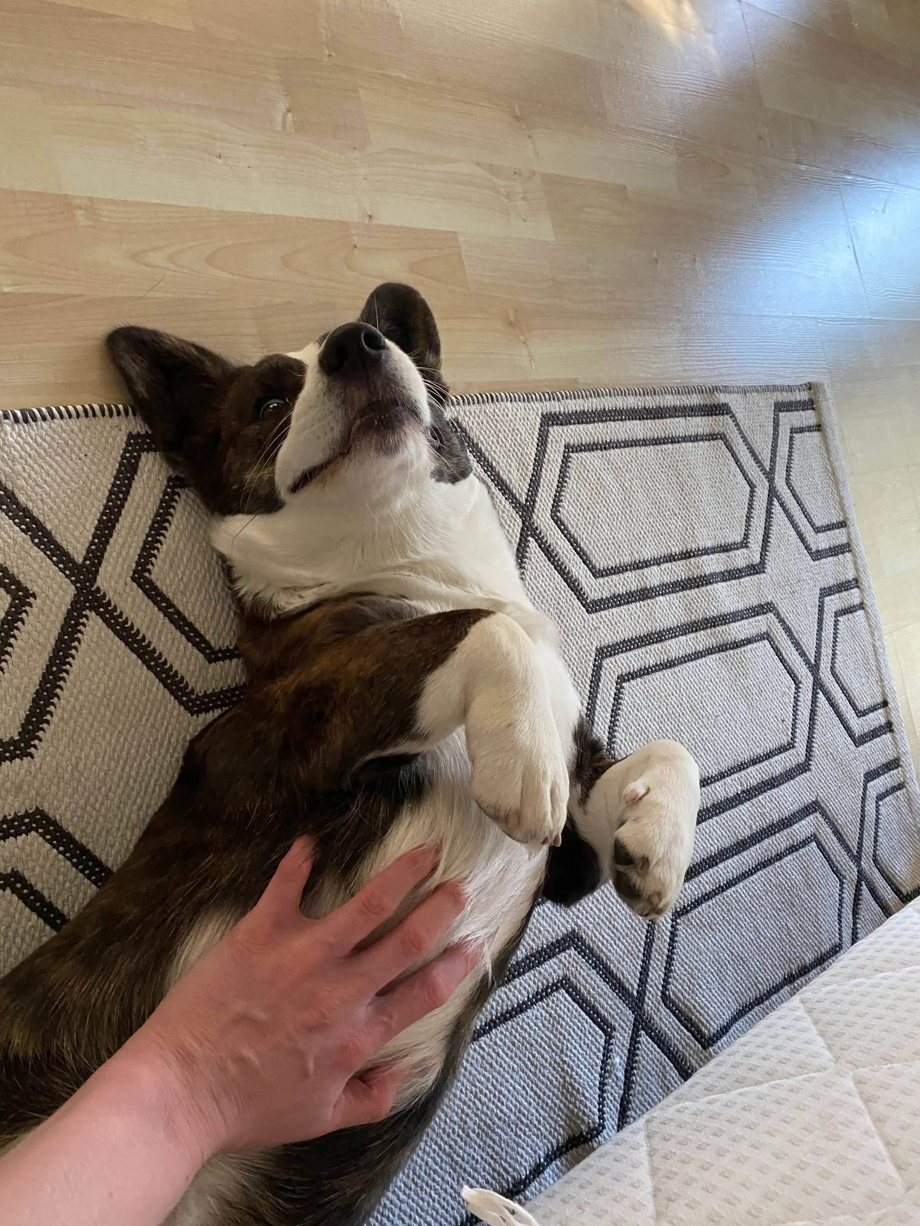 image-8