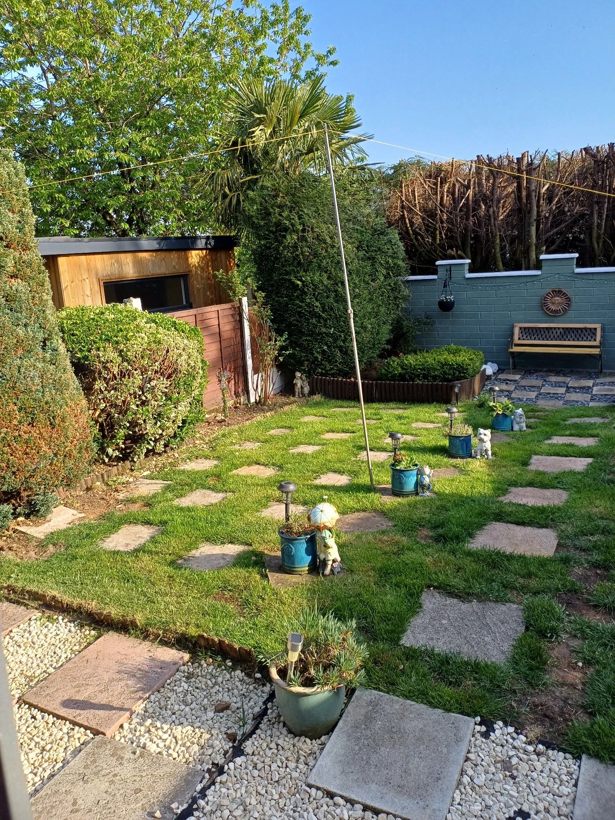 image-12