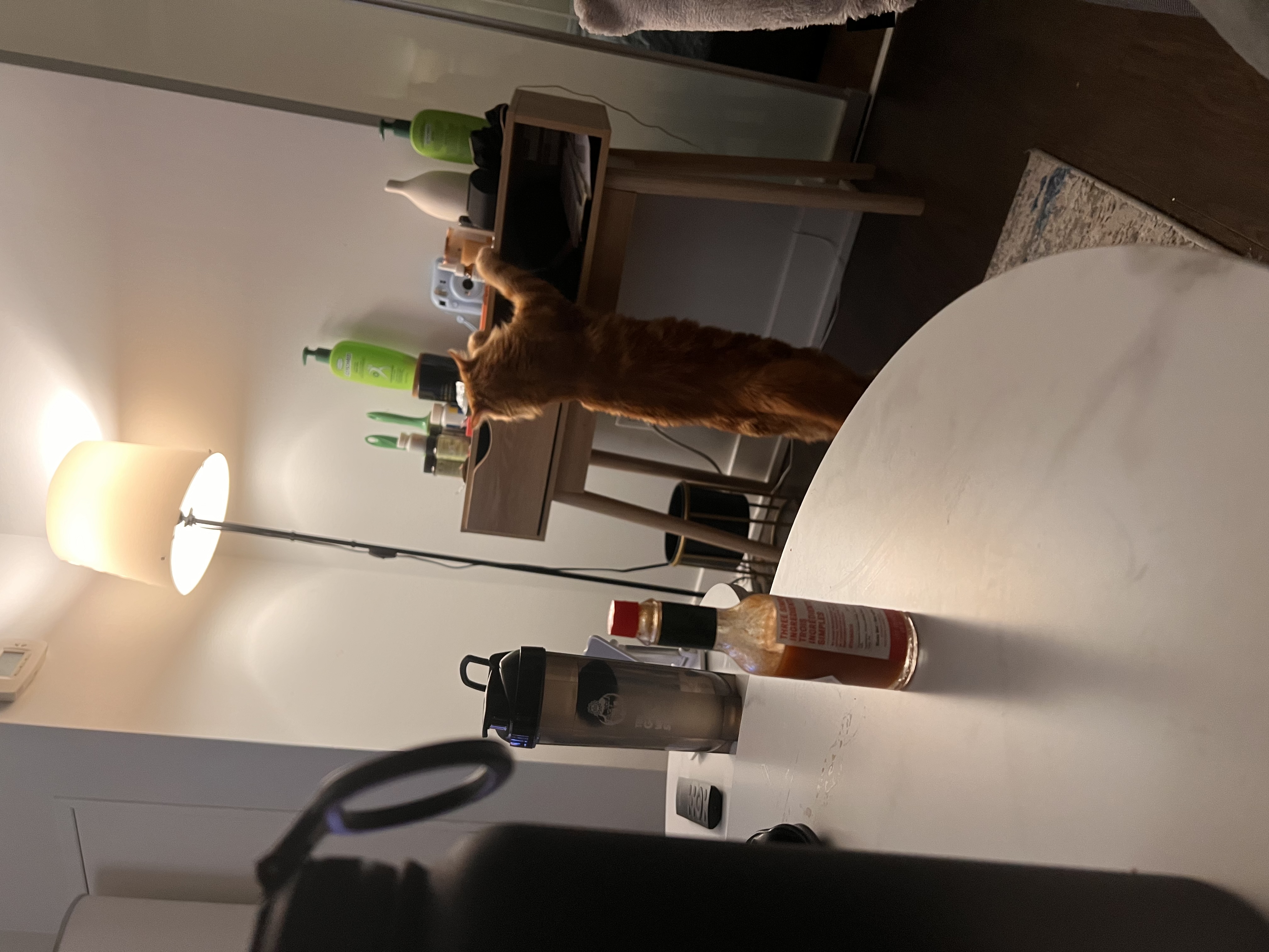 image-12