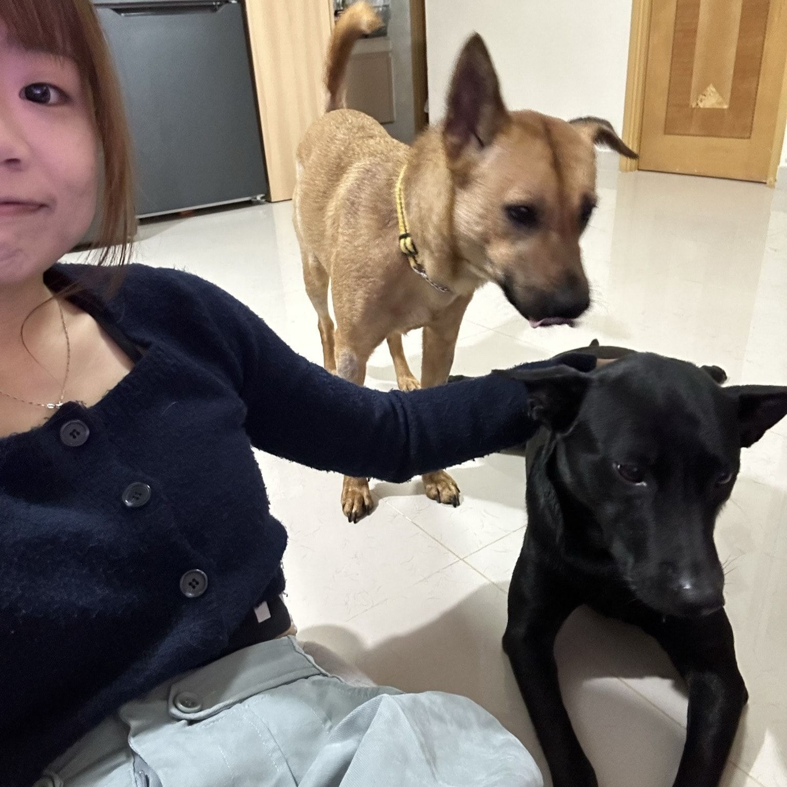 image-4
