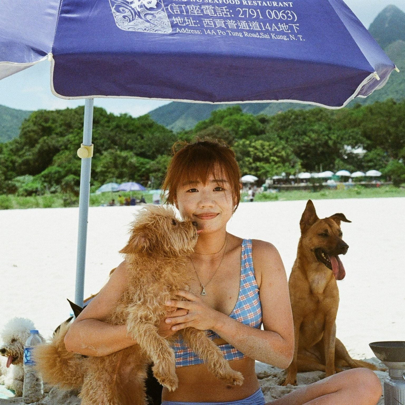 image-2