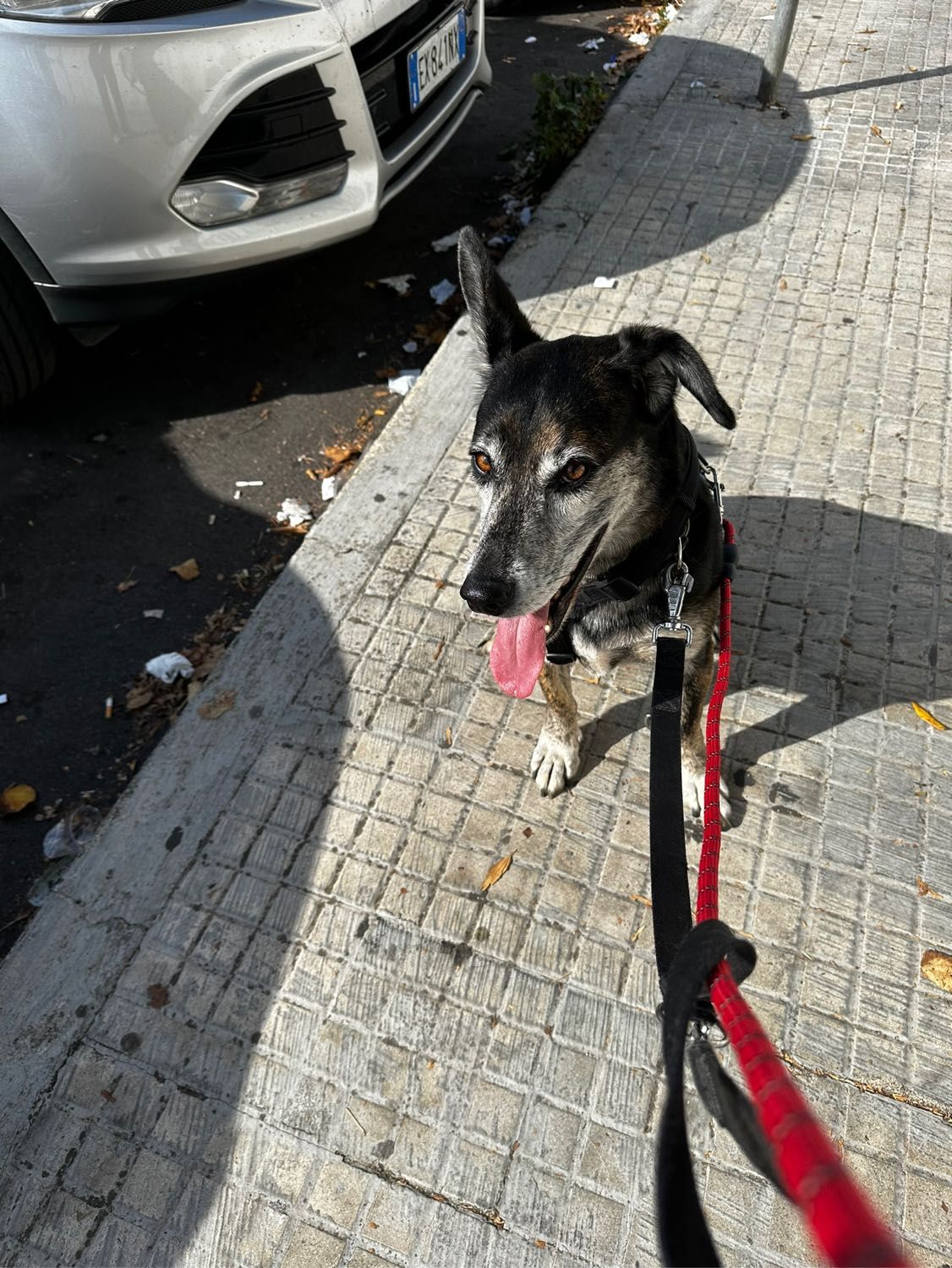 image-2