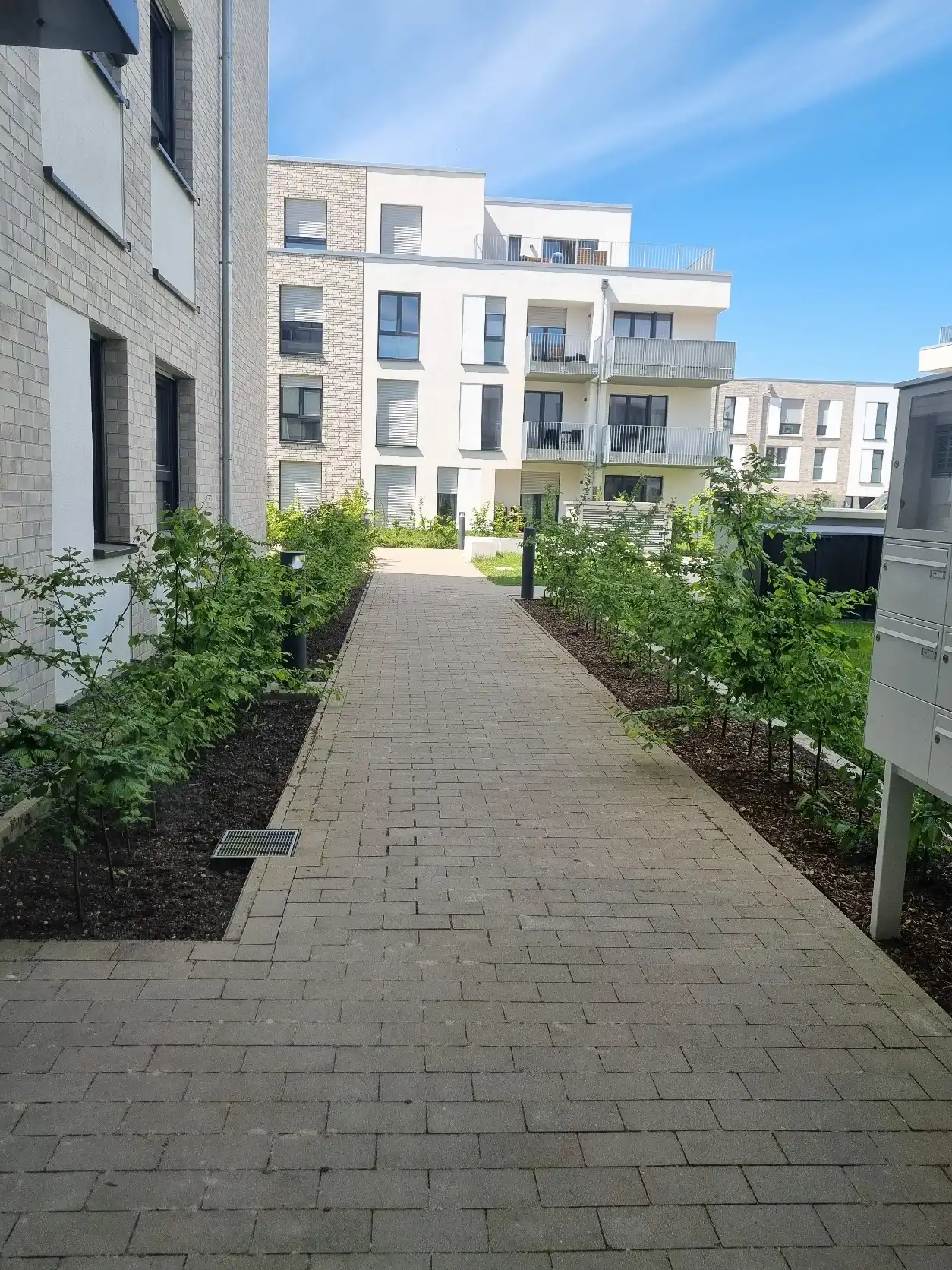 image-15