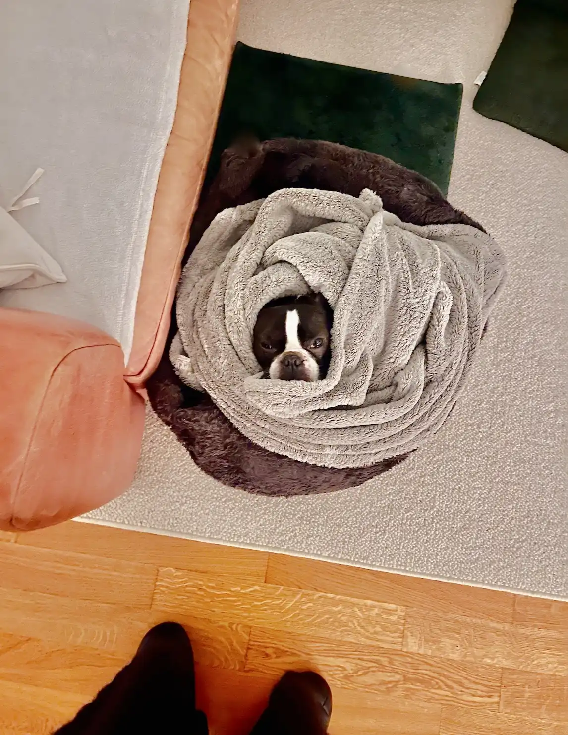 image-8