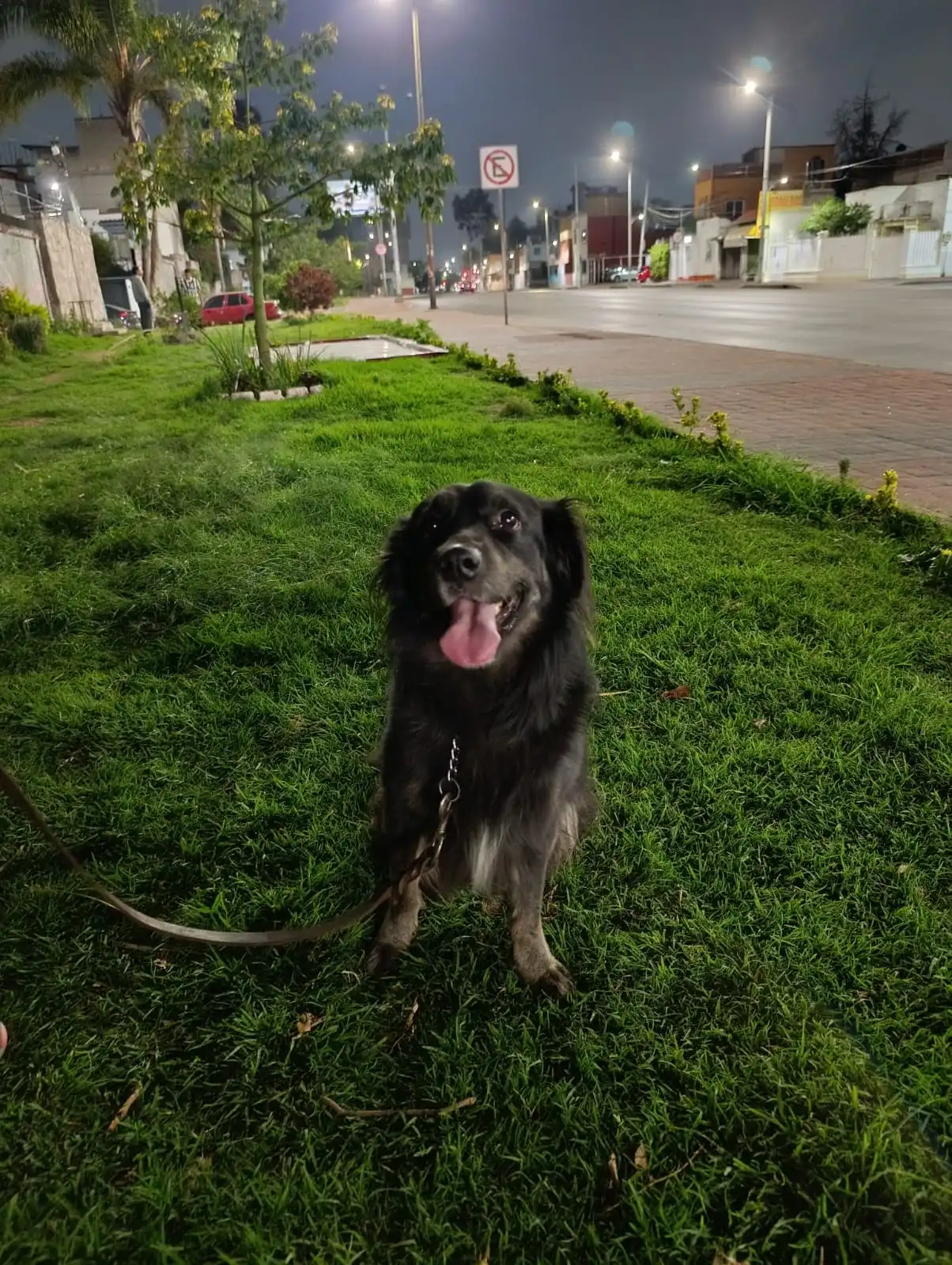 image-5