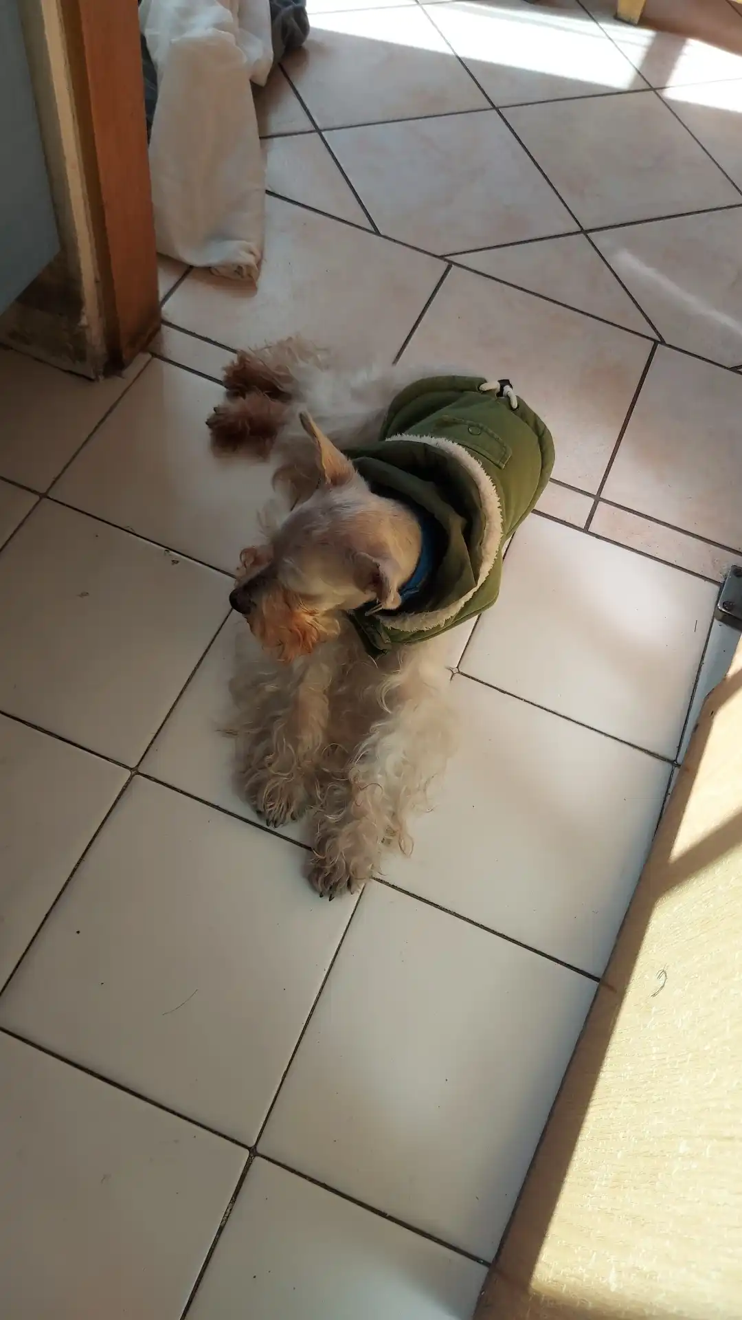 image-12