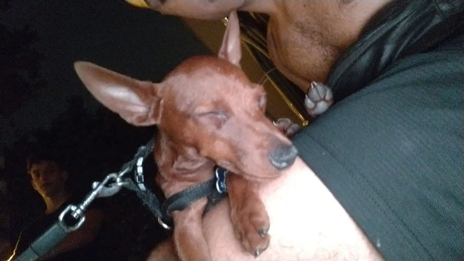 image-8