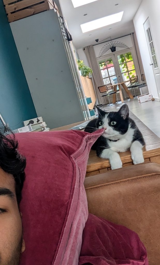 image-6