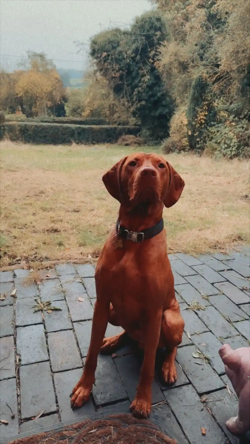 image-8
