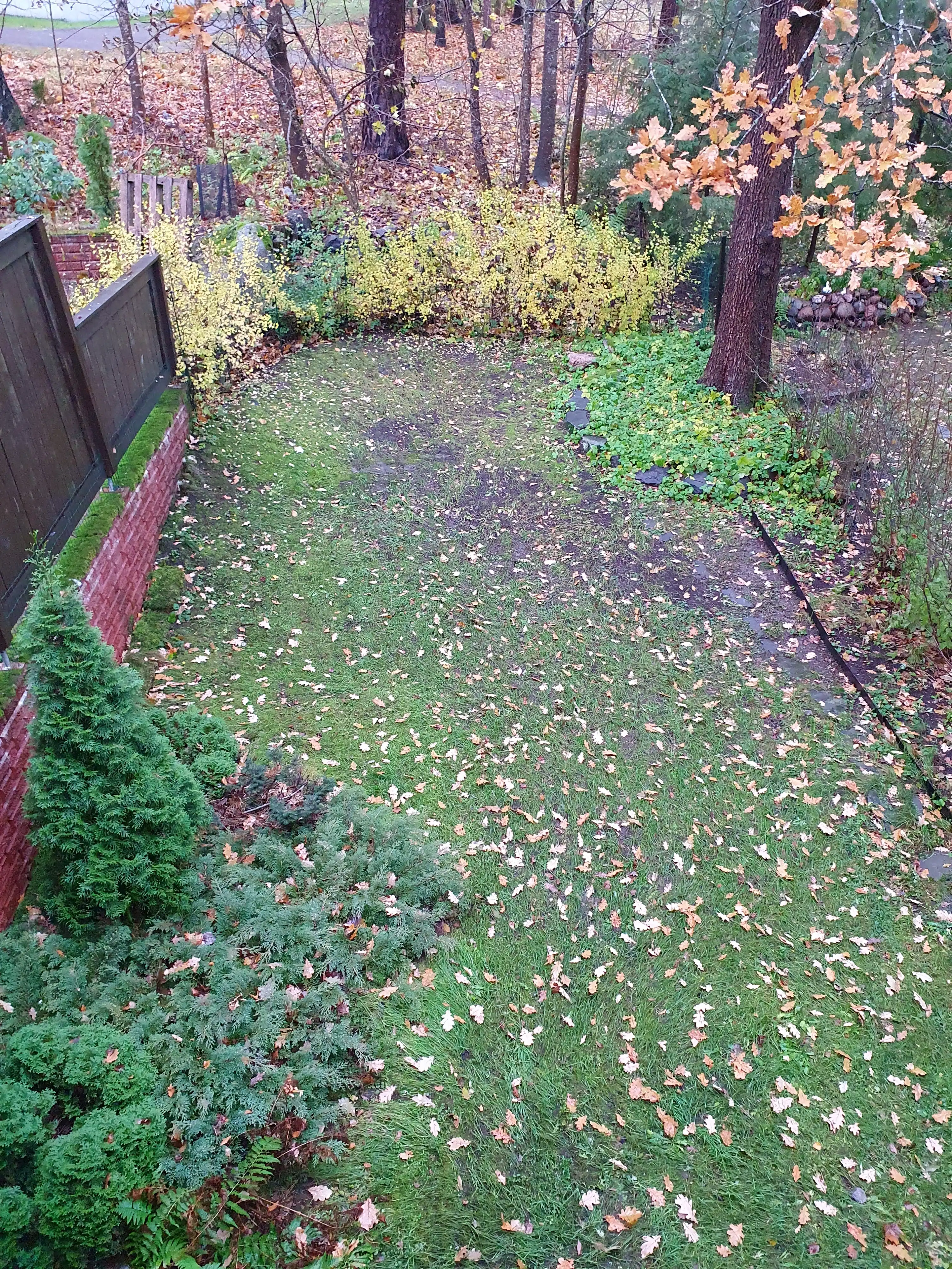 image-10