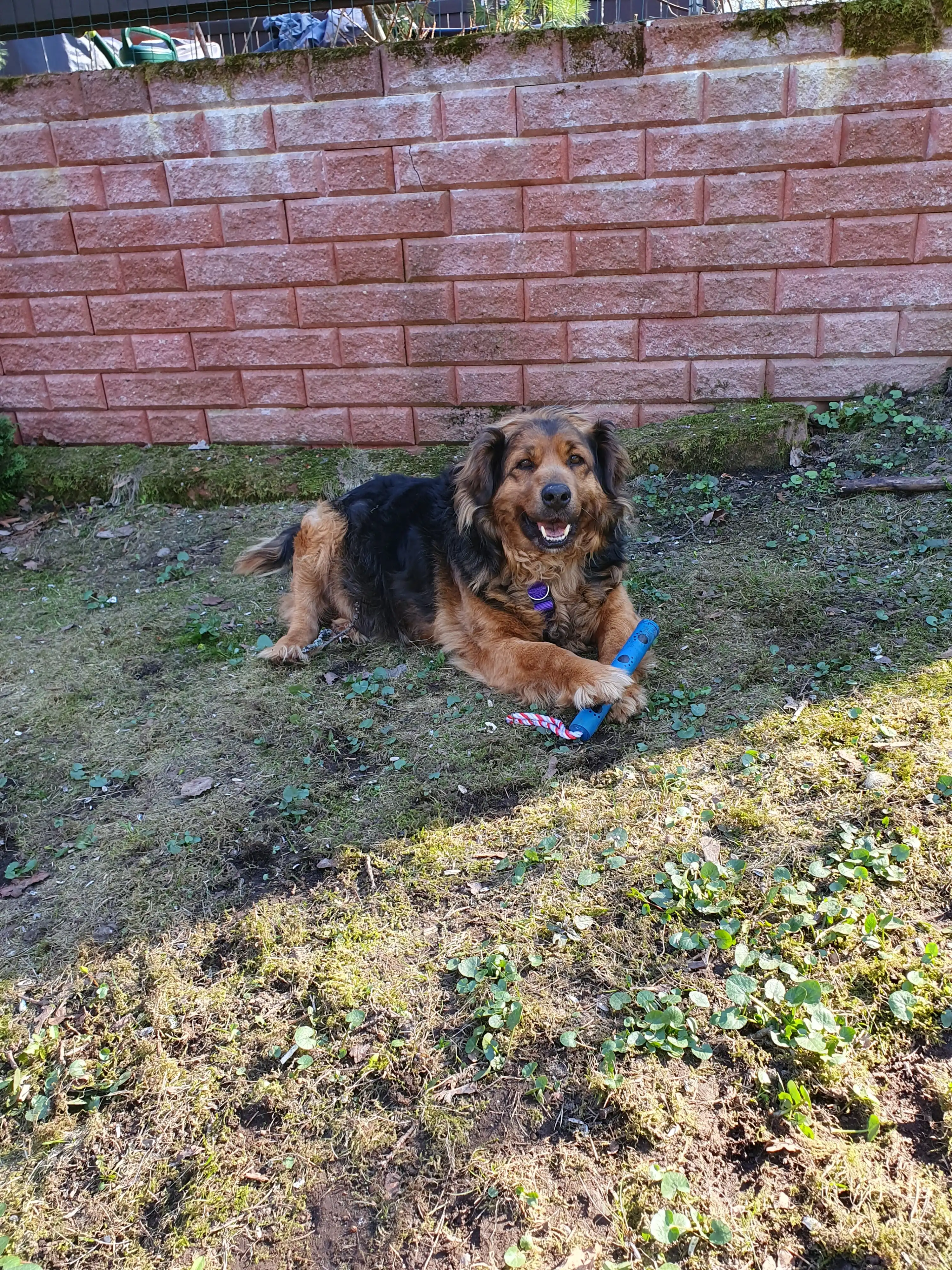 image-11