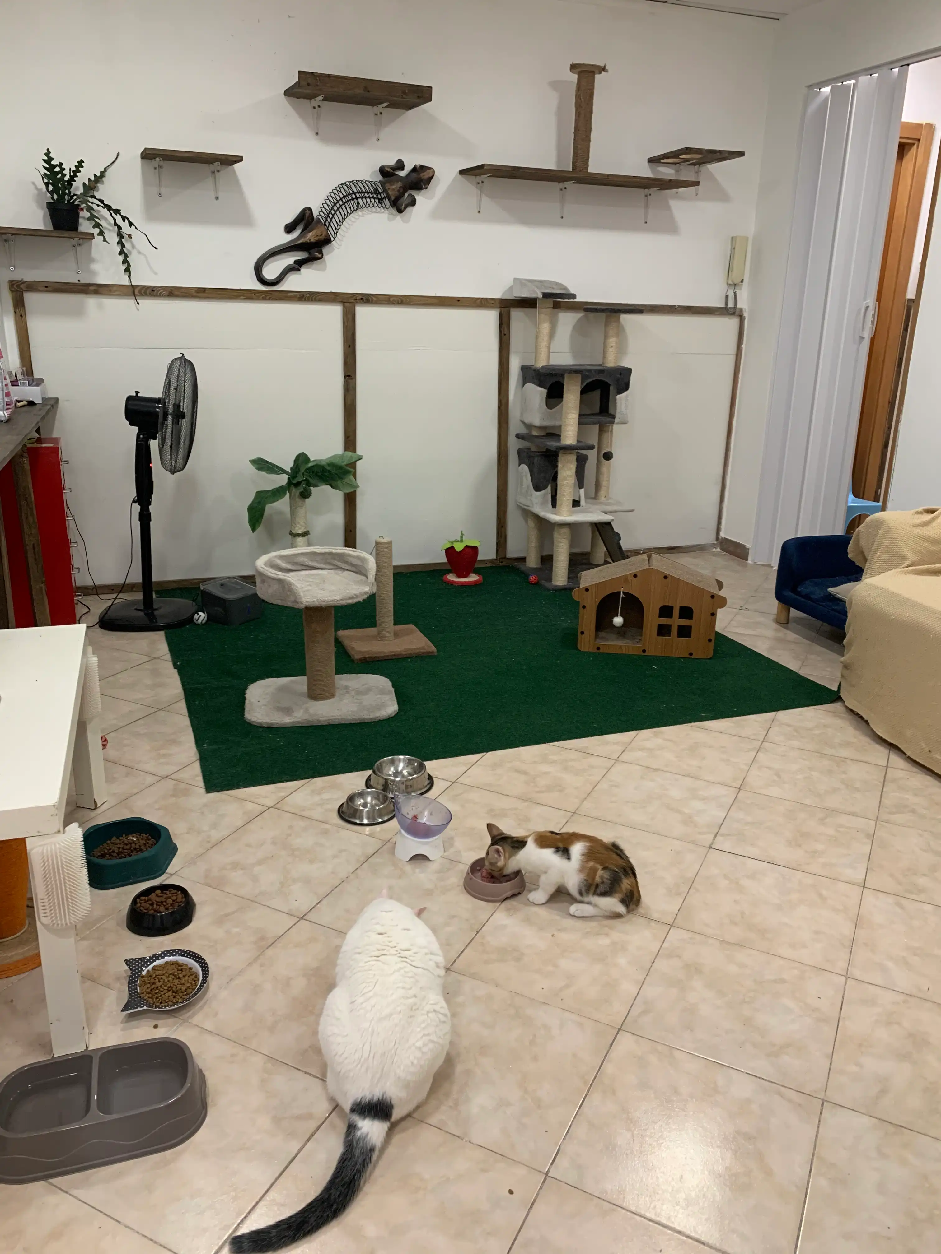 image-23