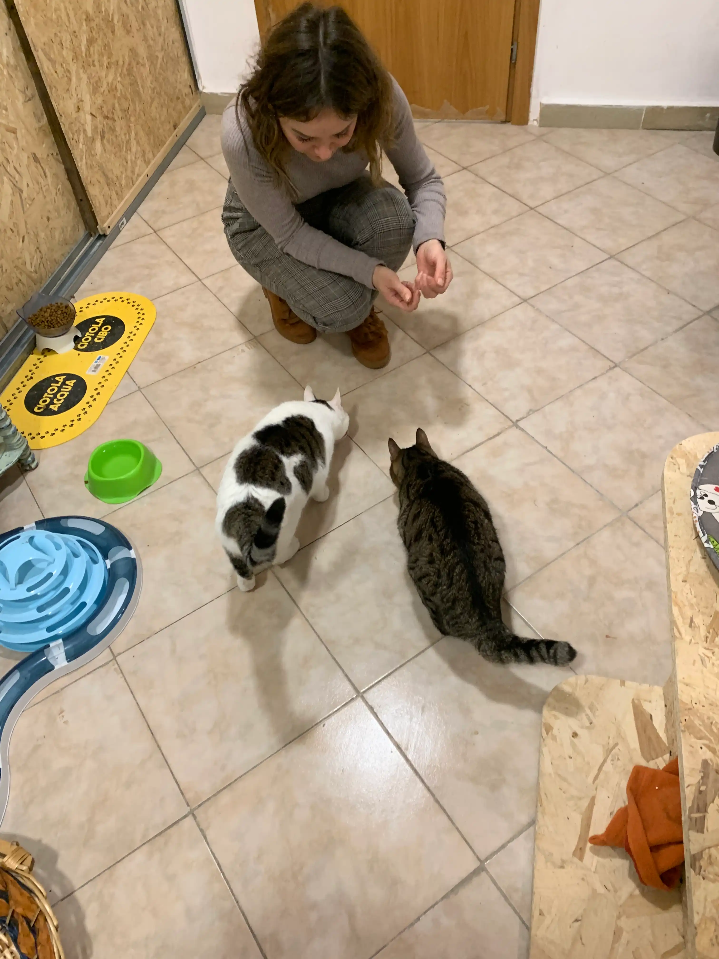 image-11