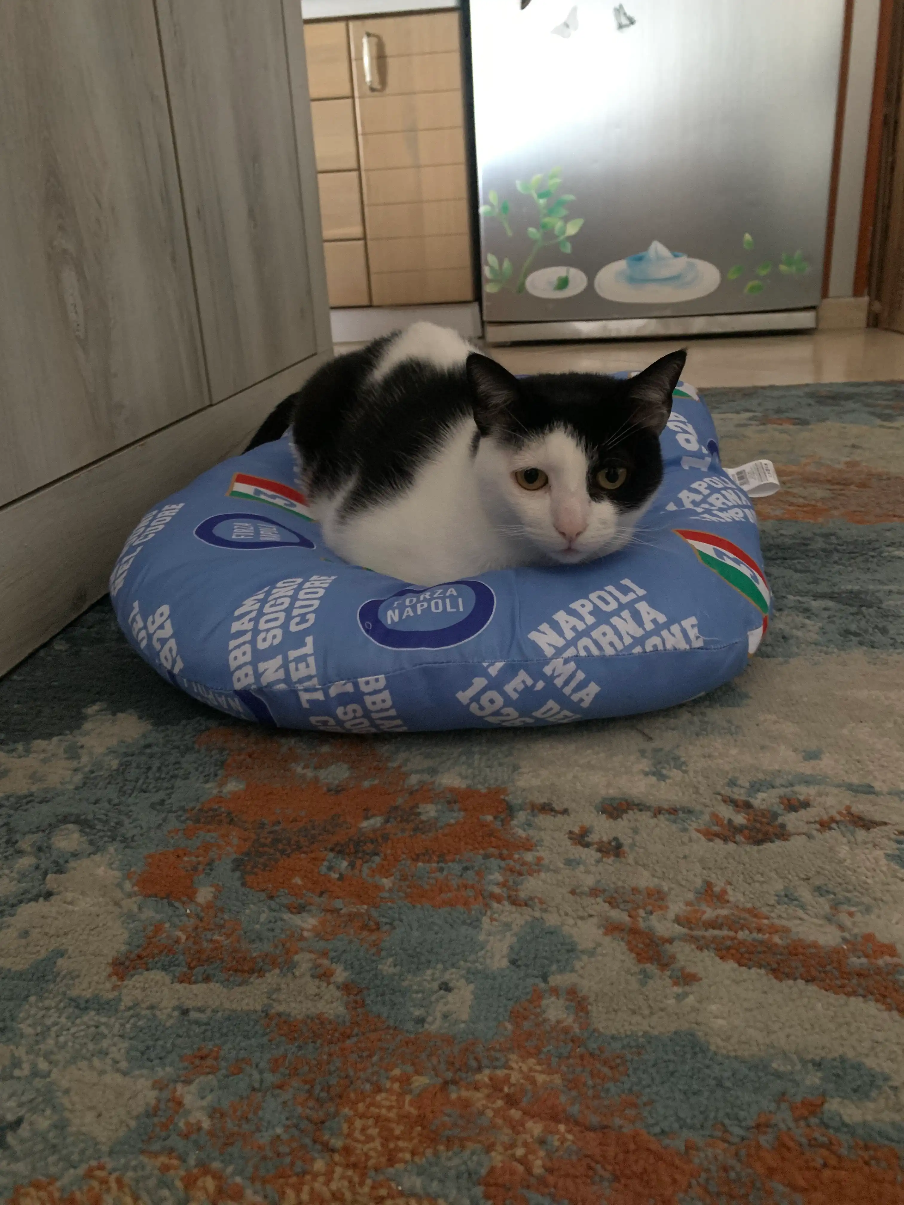 image-9