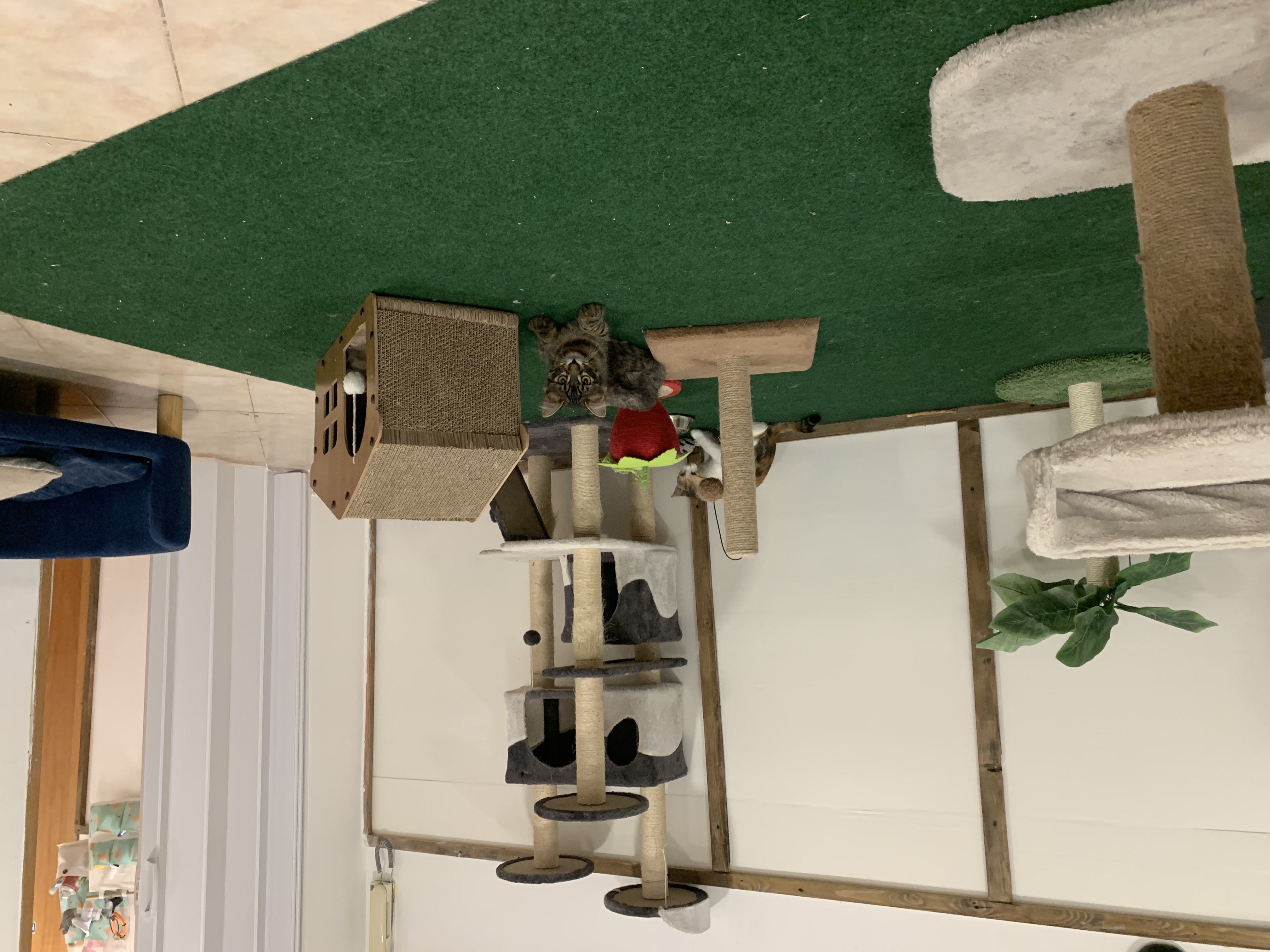 image-28