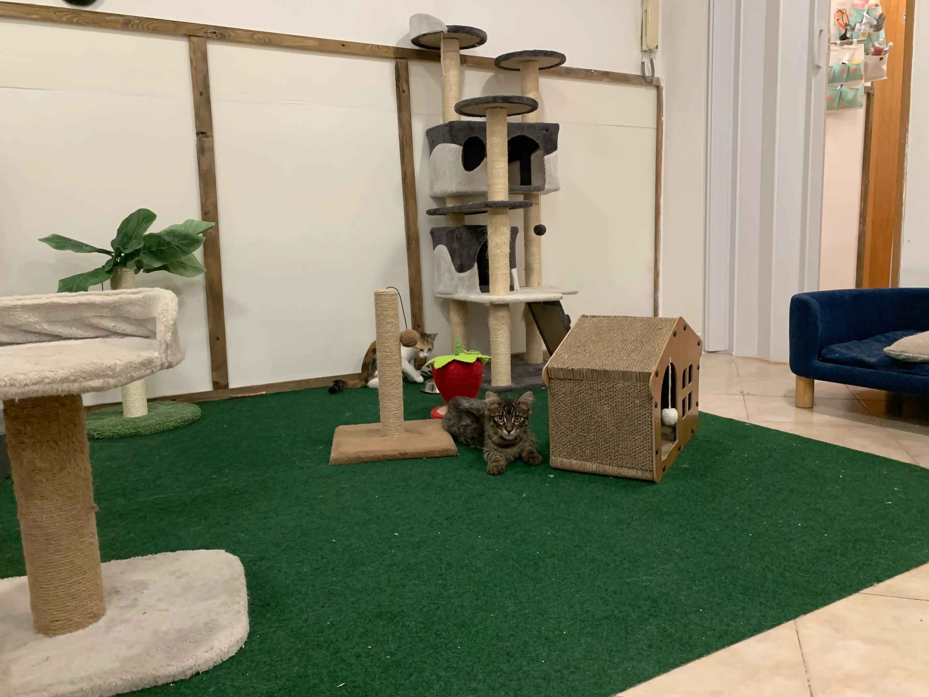 image-28