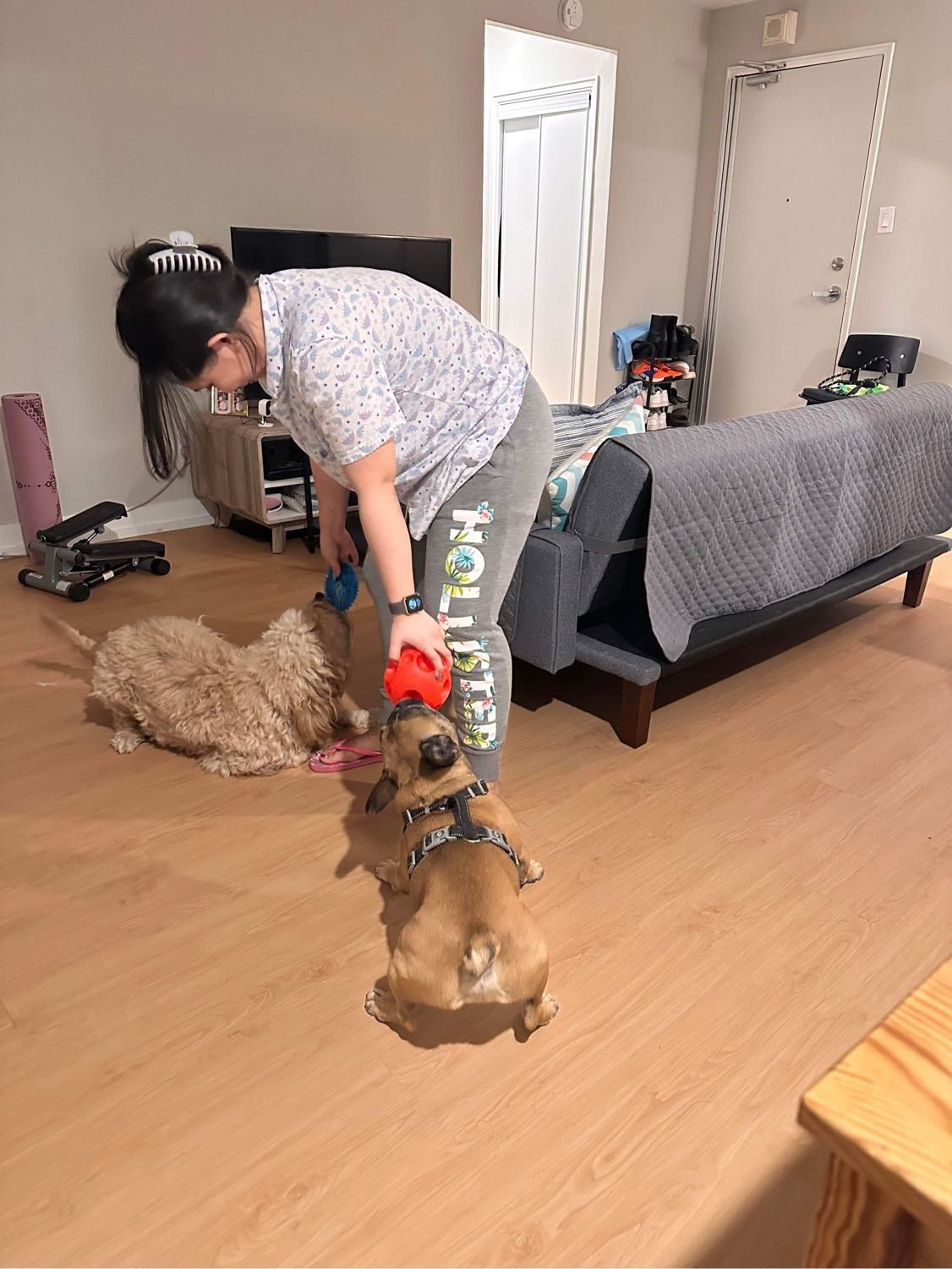 image-4