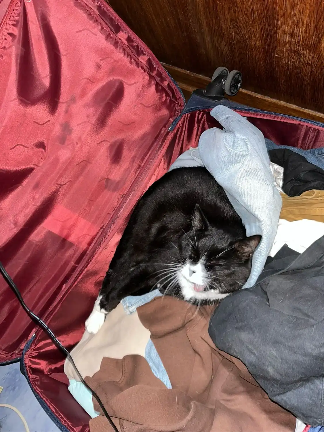 image-5