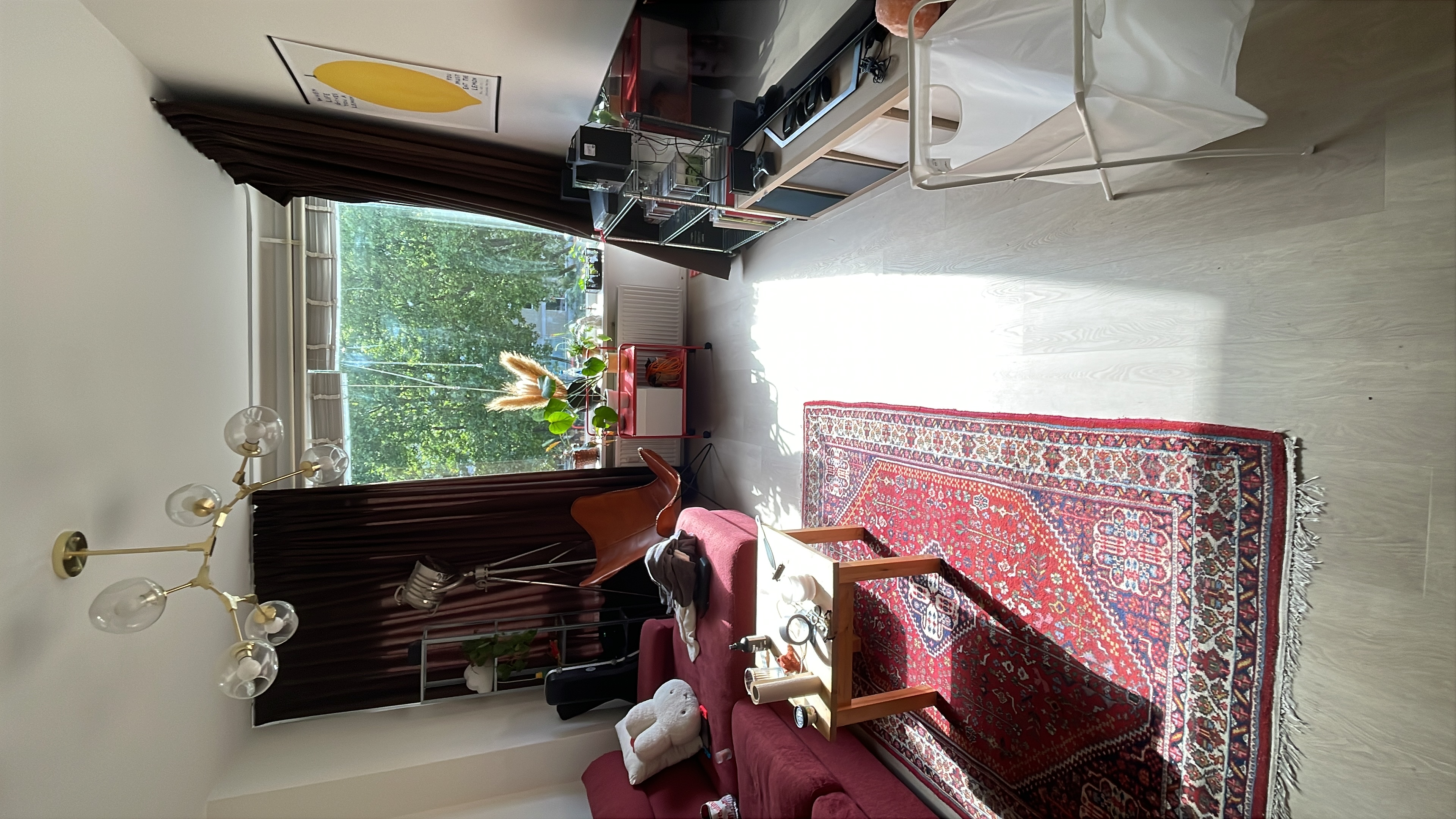 image-10