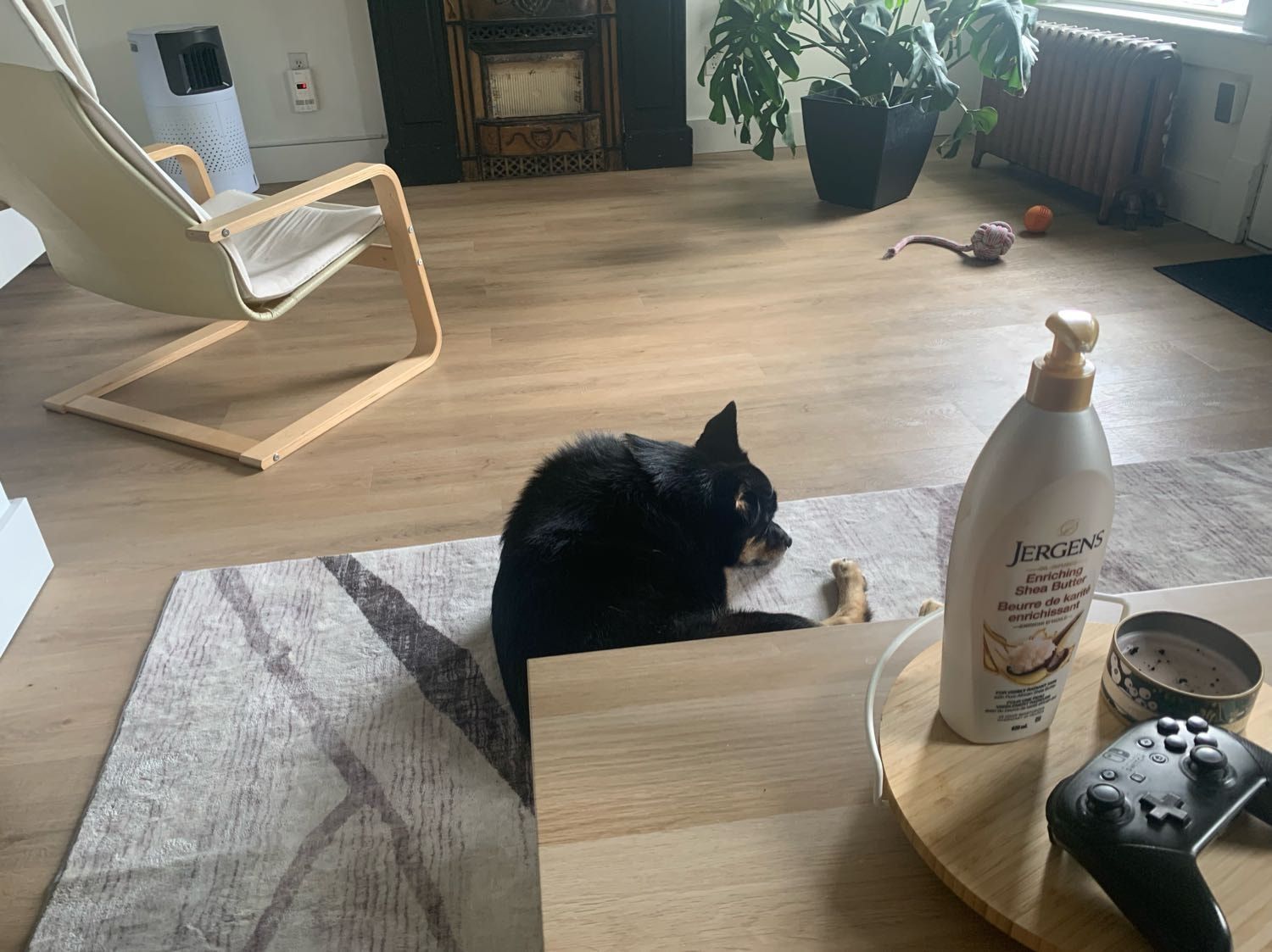 image-10