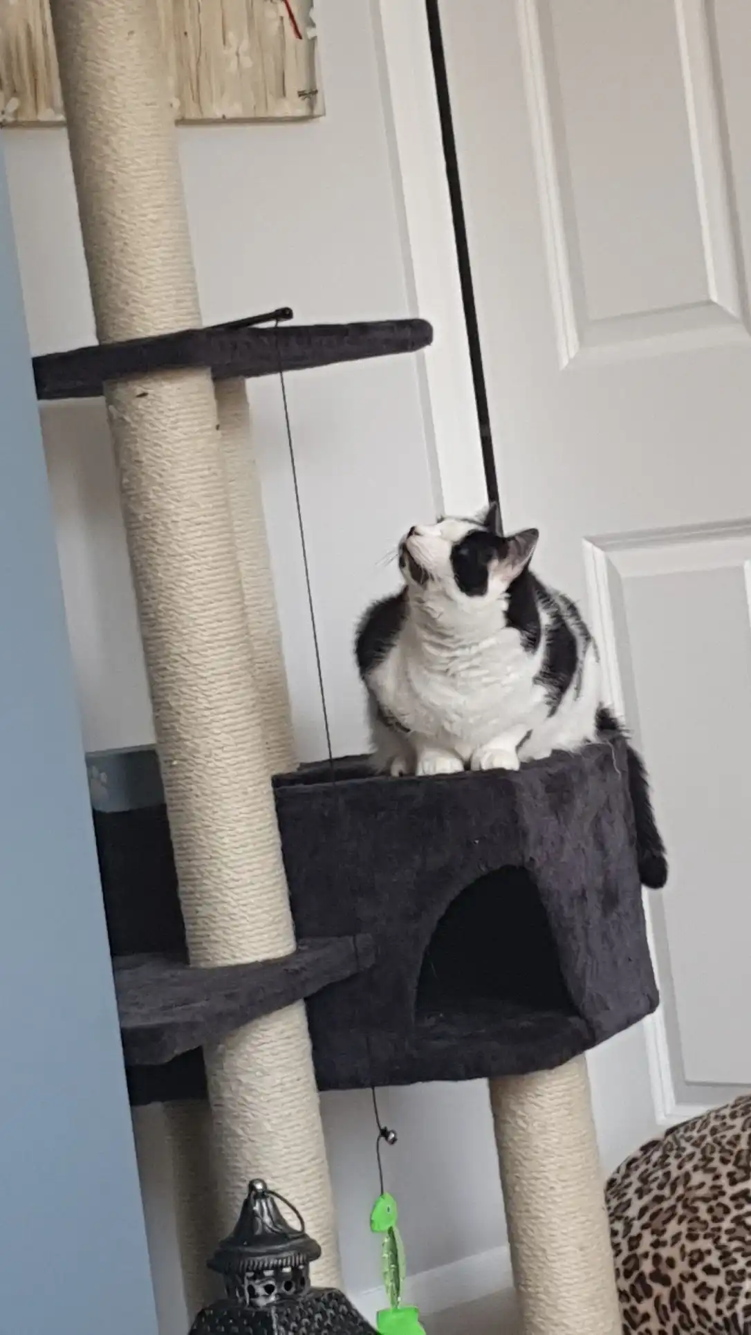 image-9
