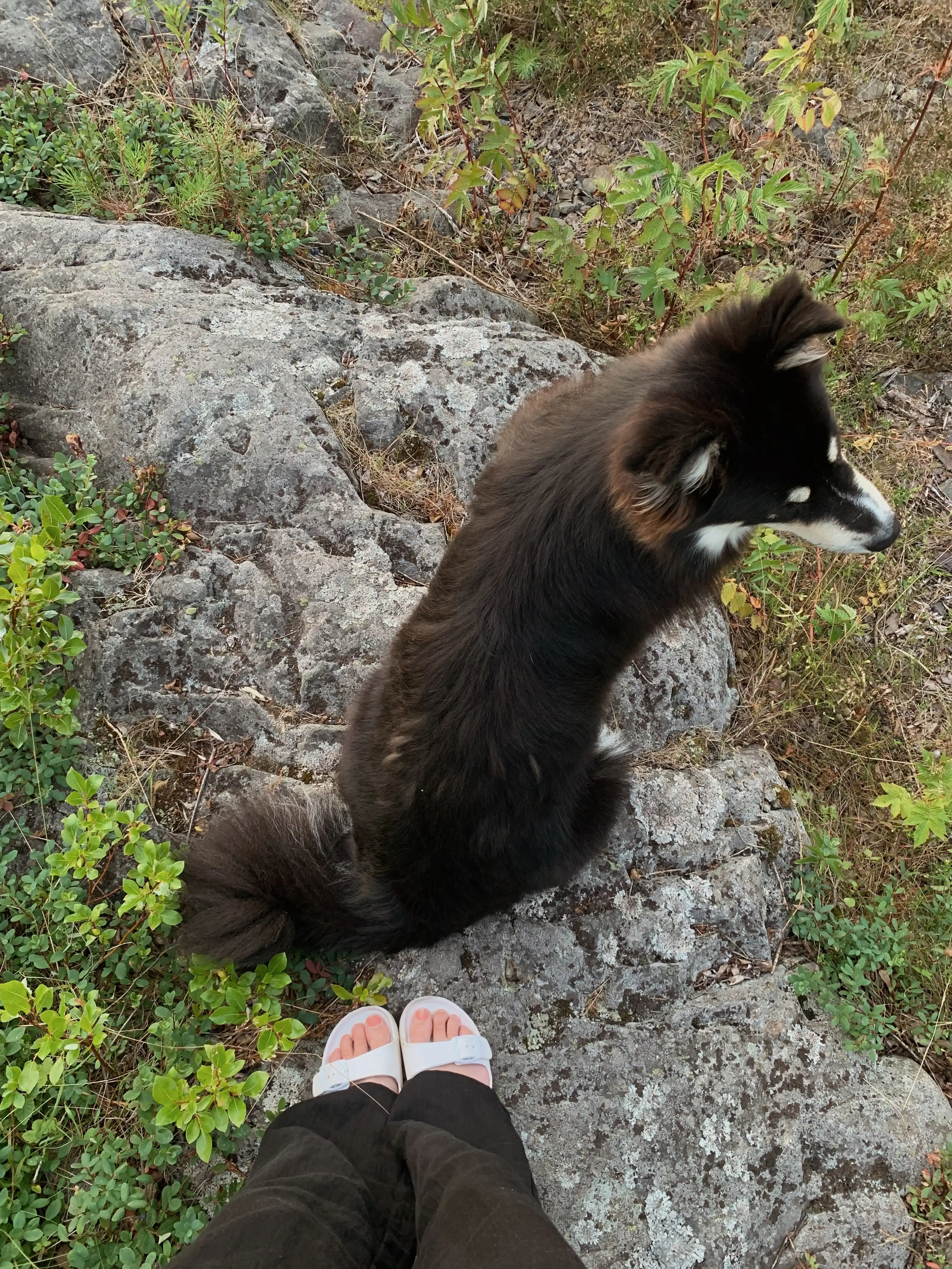 image-8