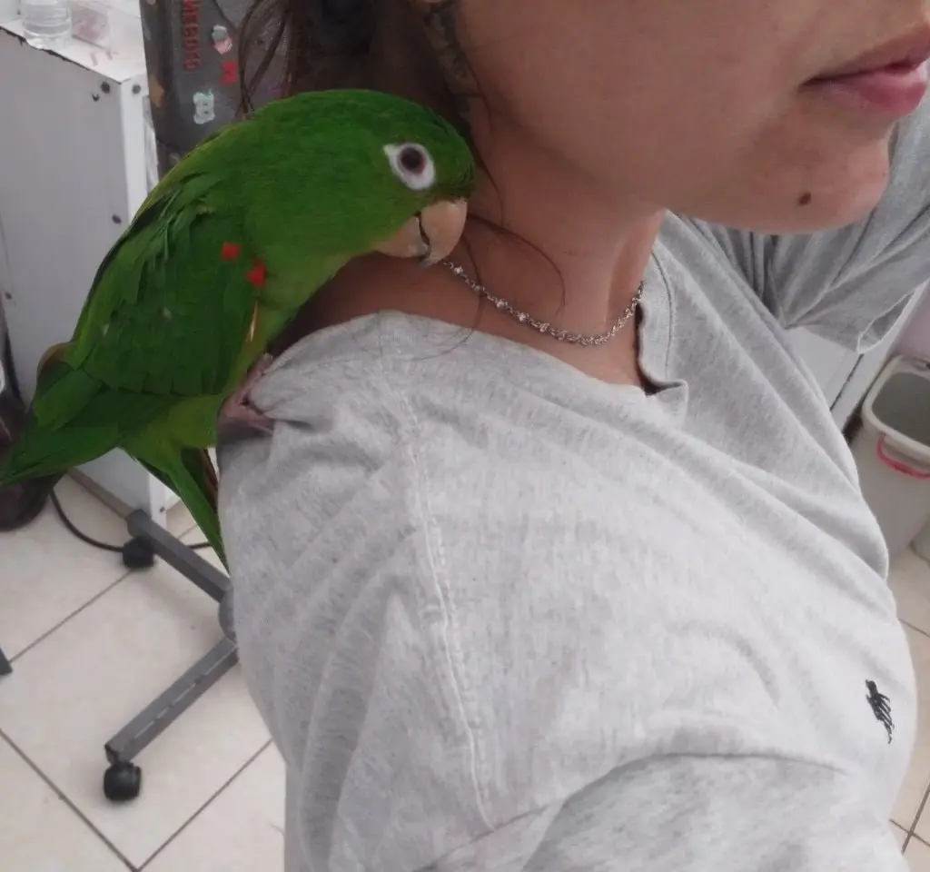 image-4