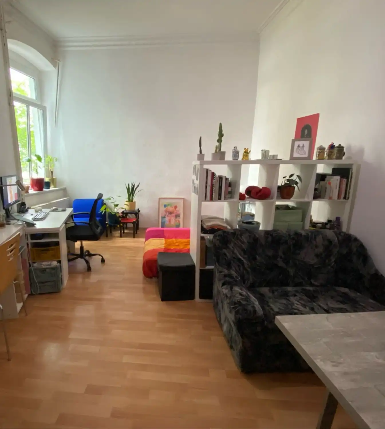 image-7