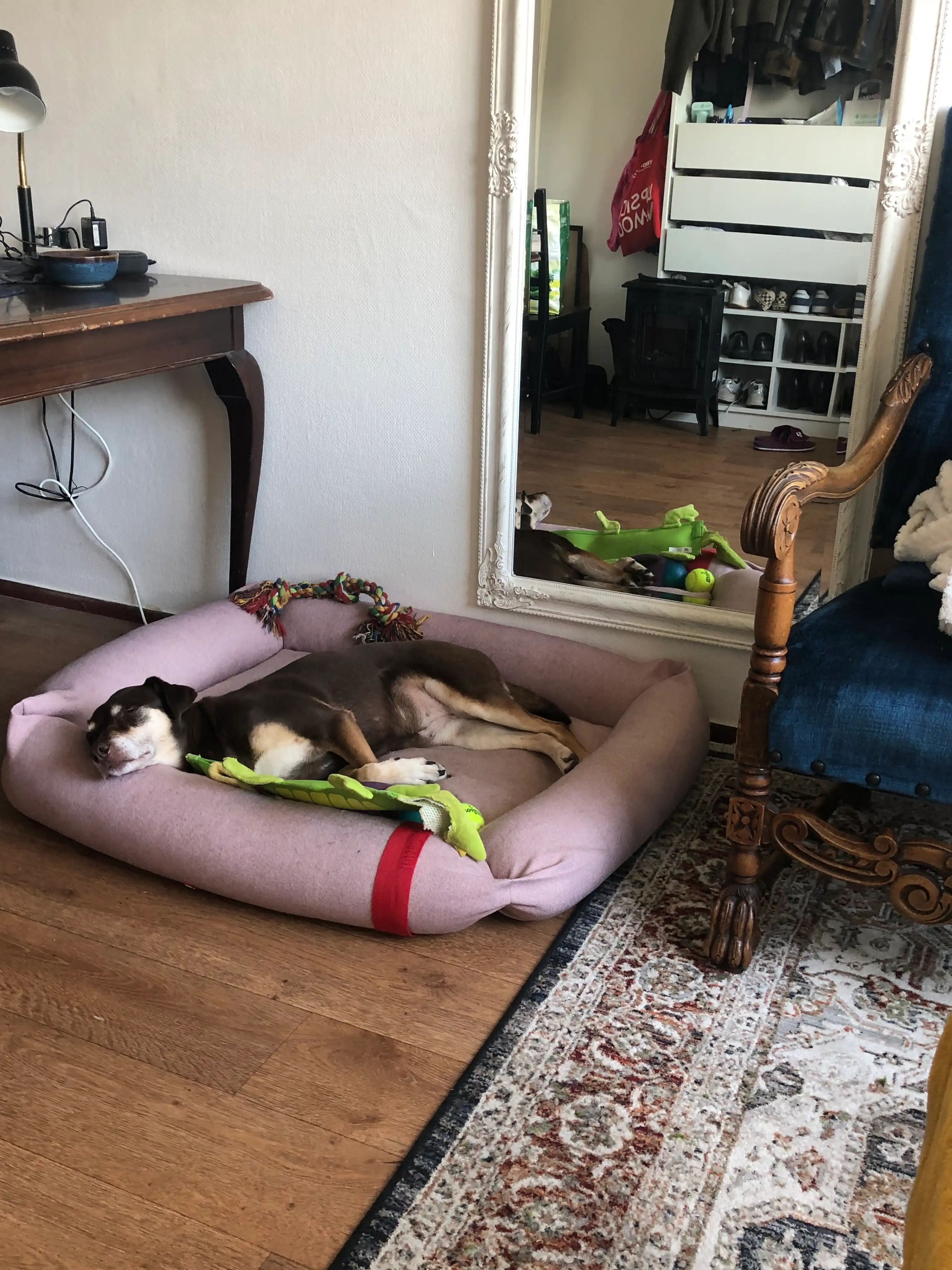 image-8
