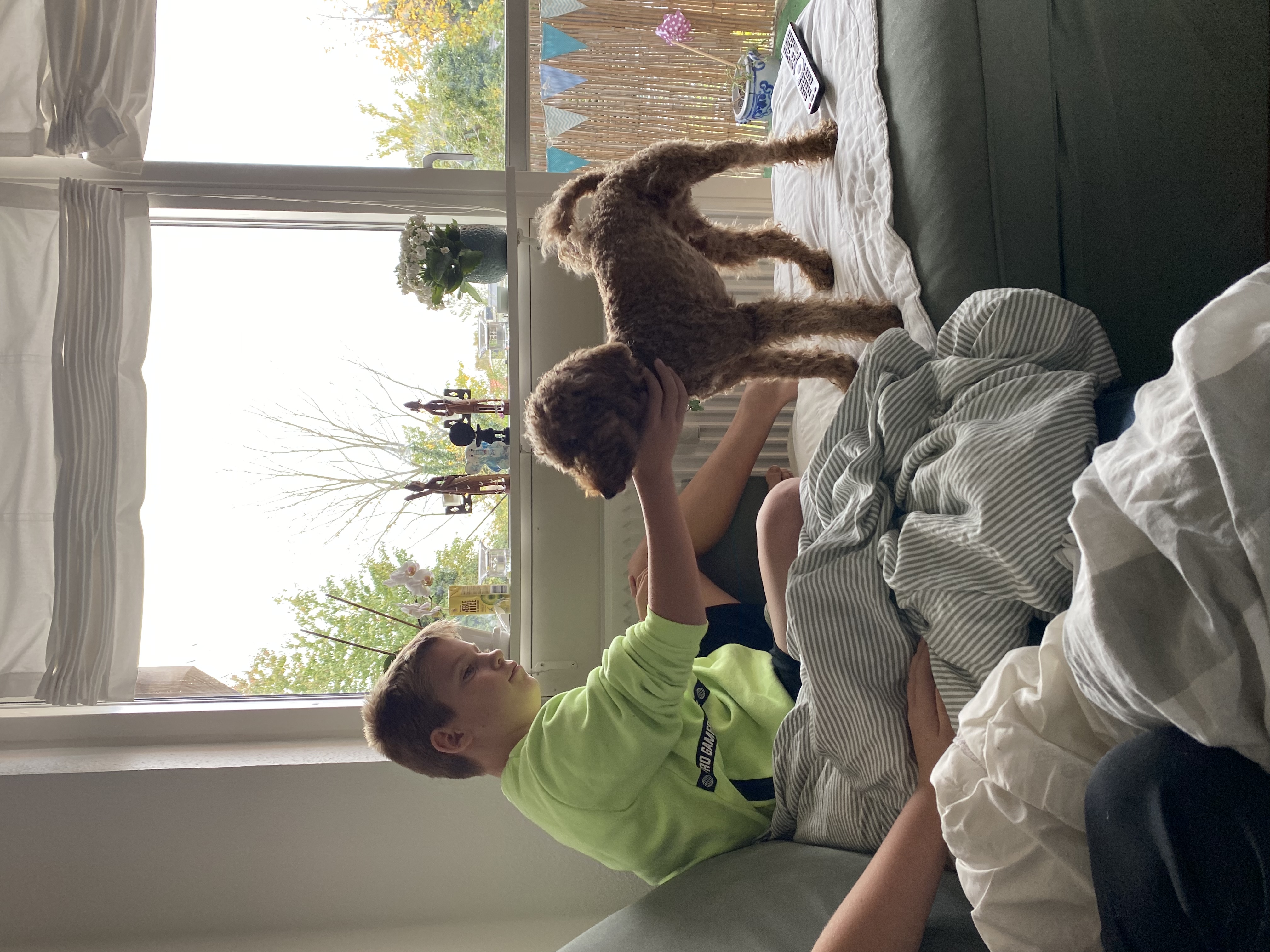image-19
