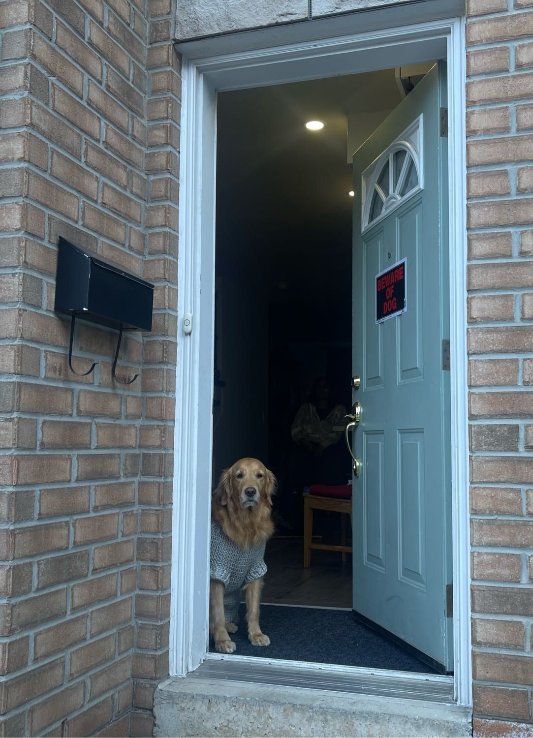 image-13