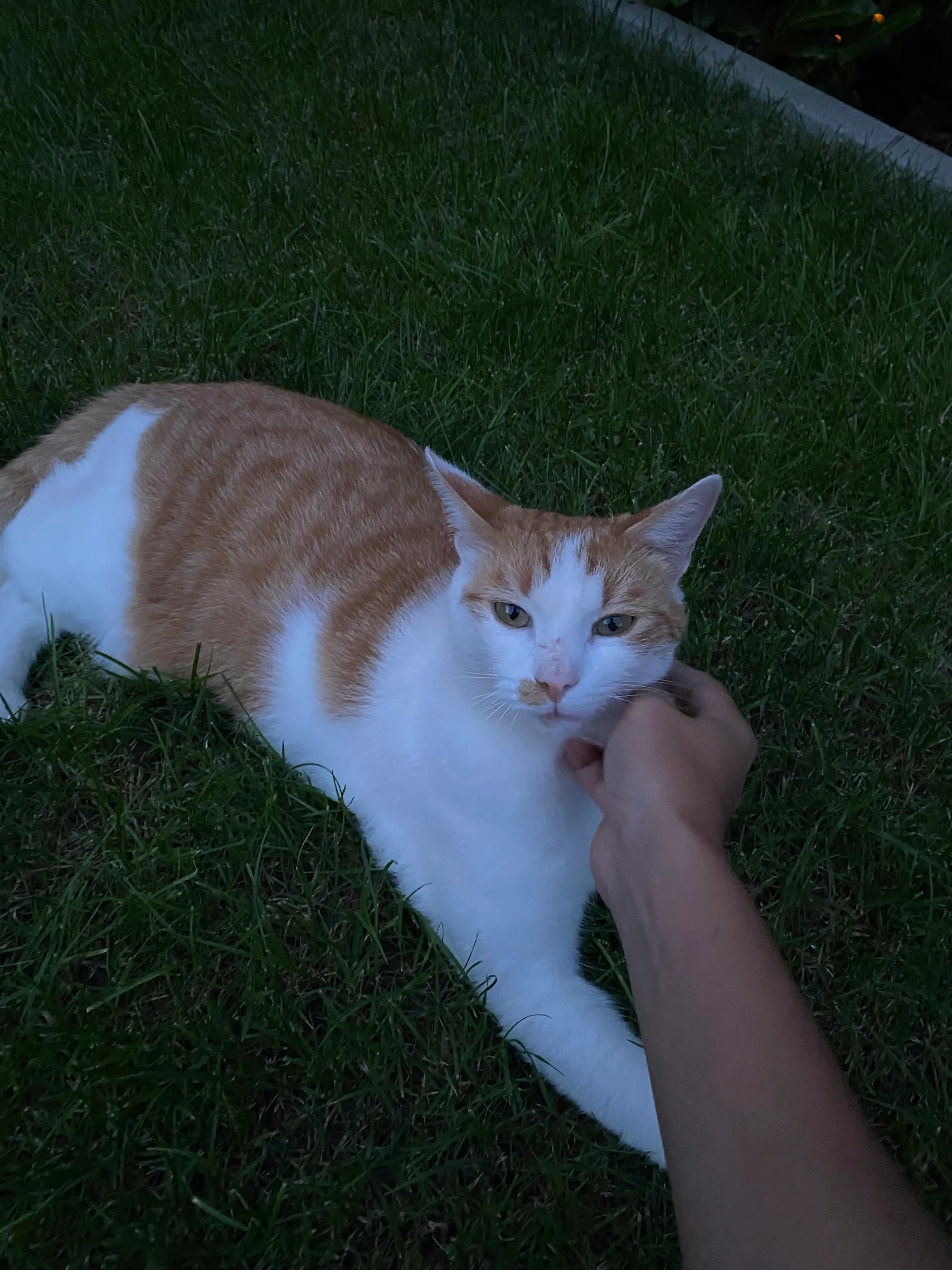 image-10