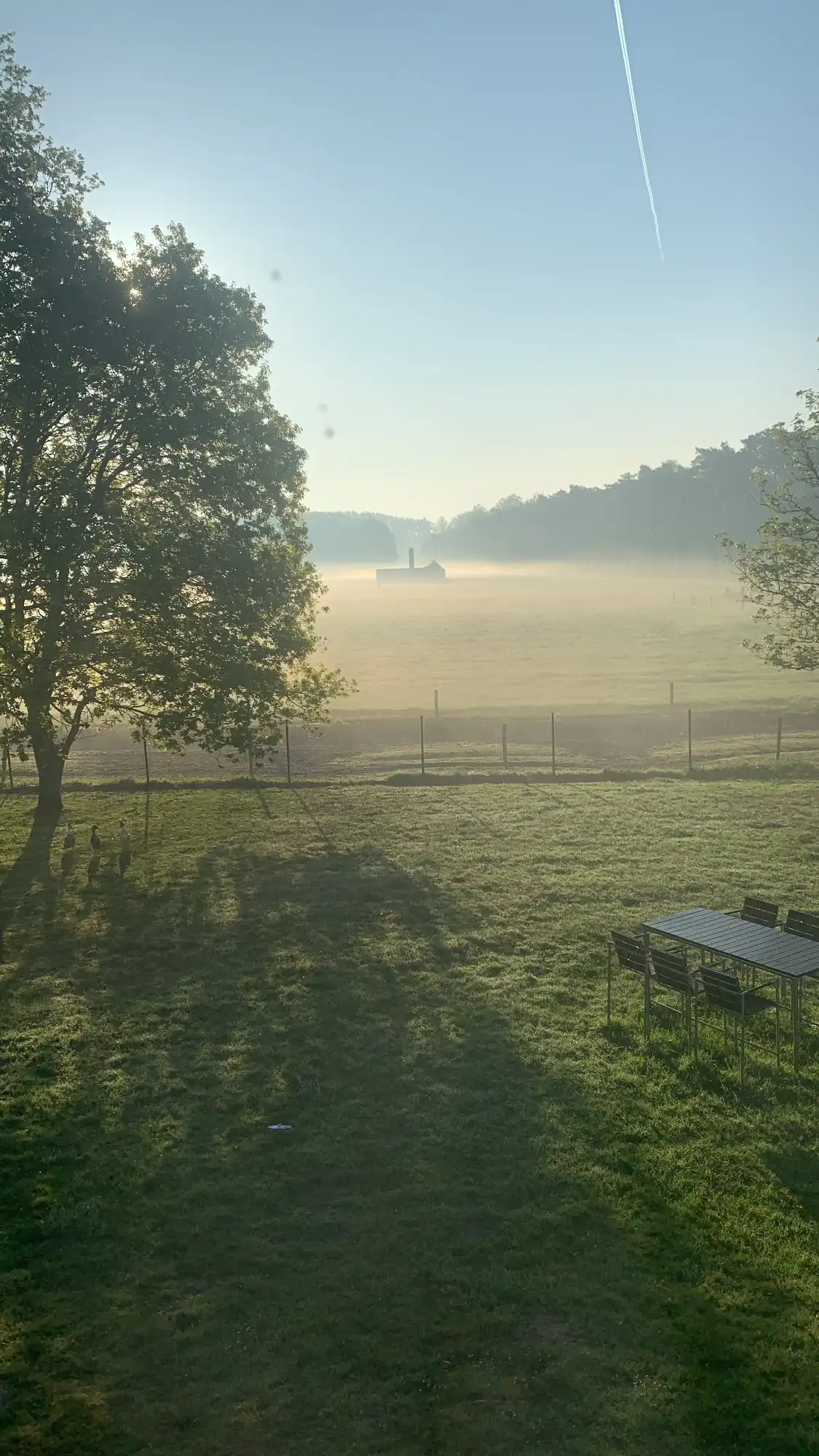image-36