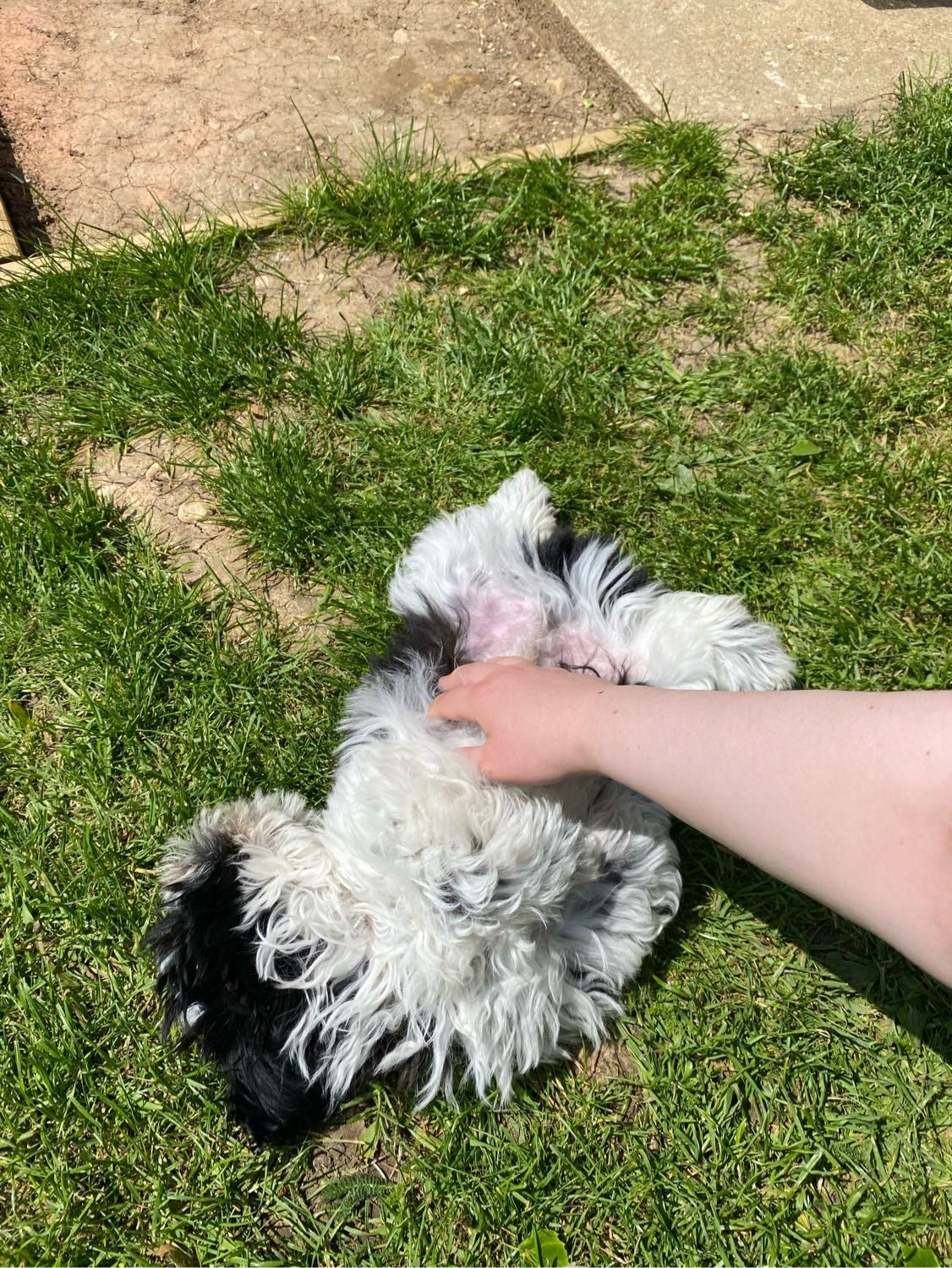 image-9