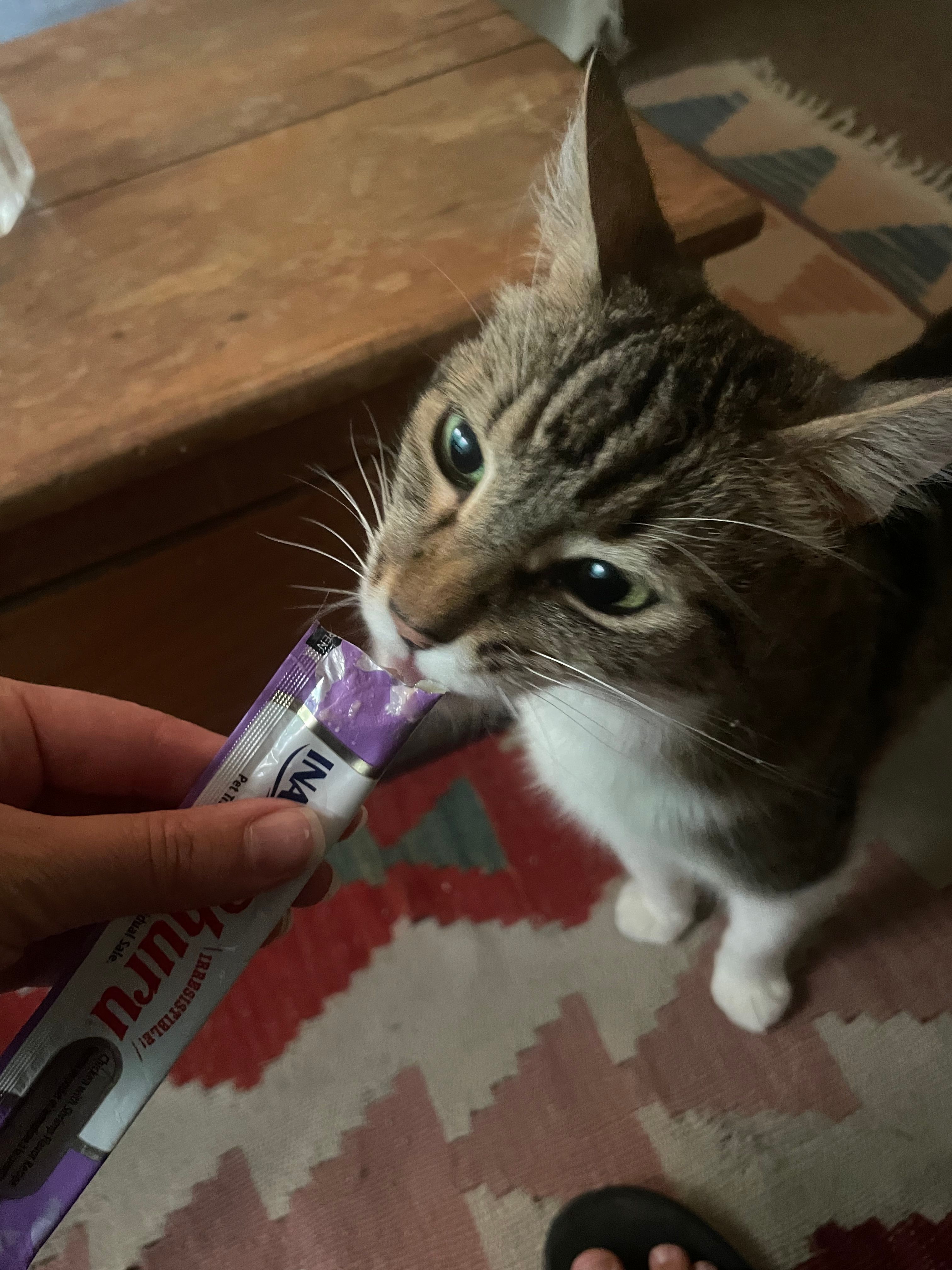 image-6