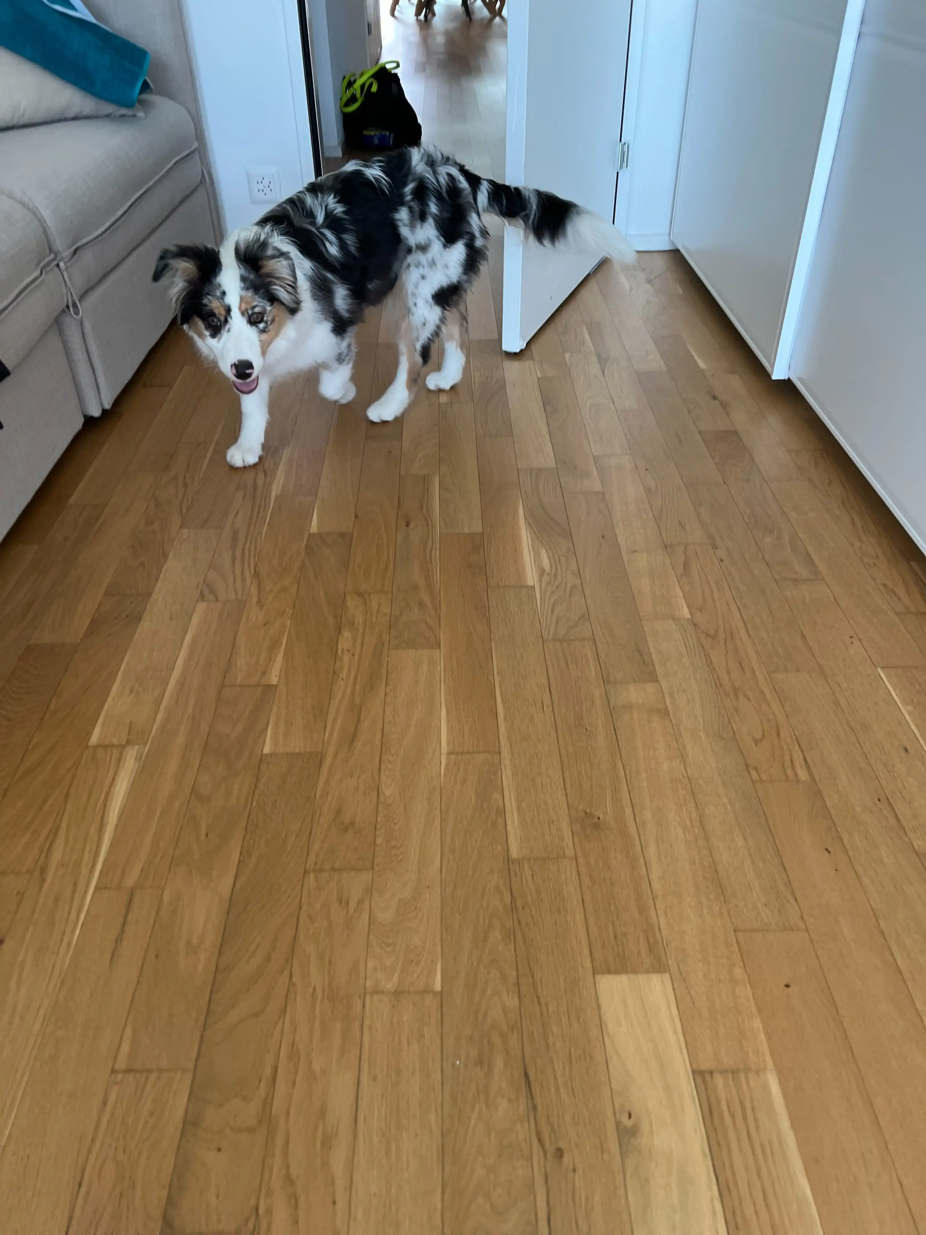 image-6