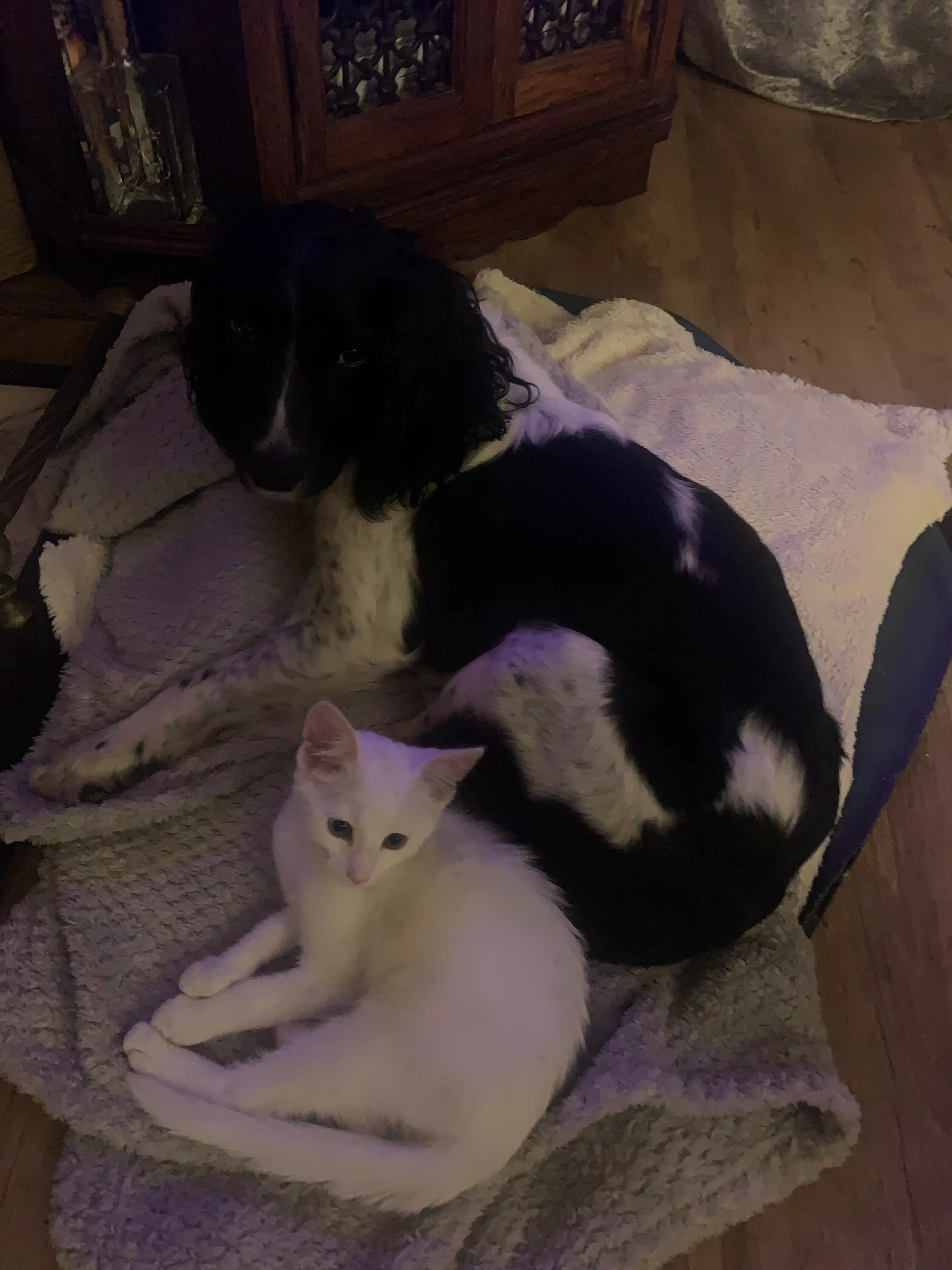 image-6