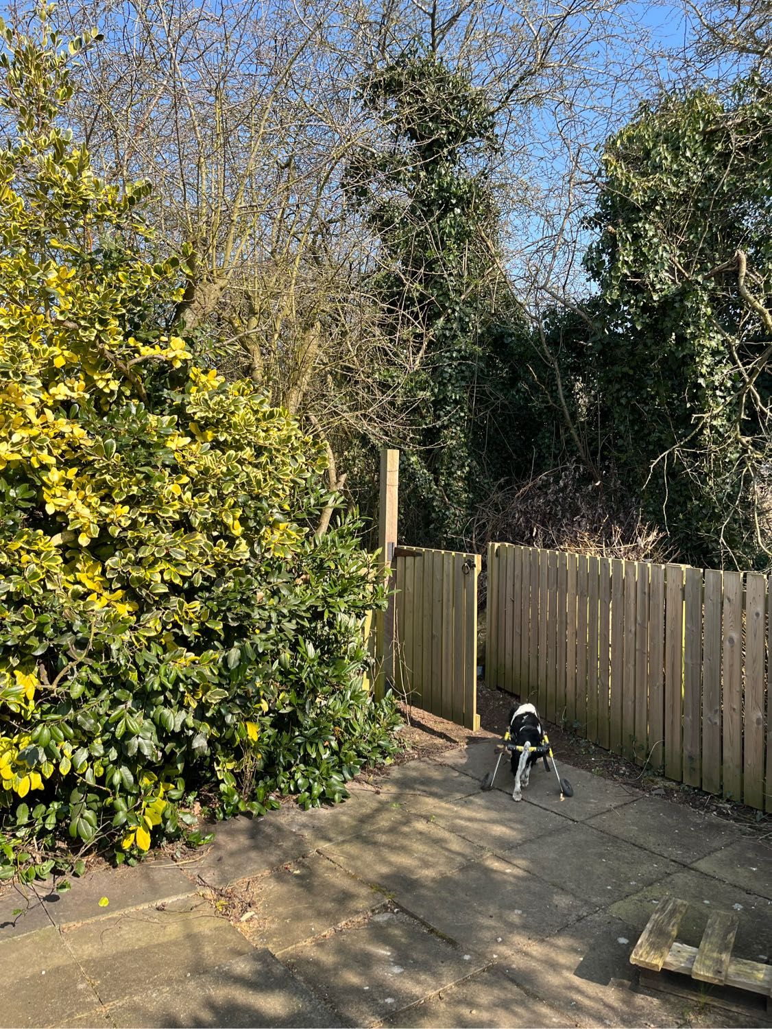 image-20
