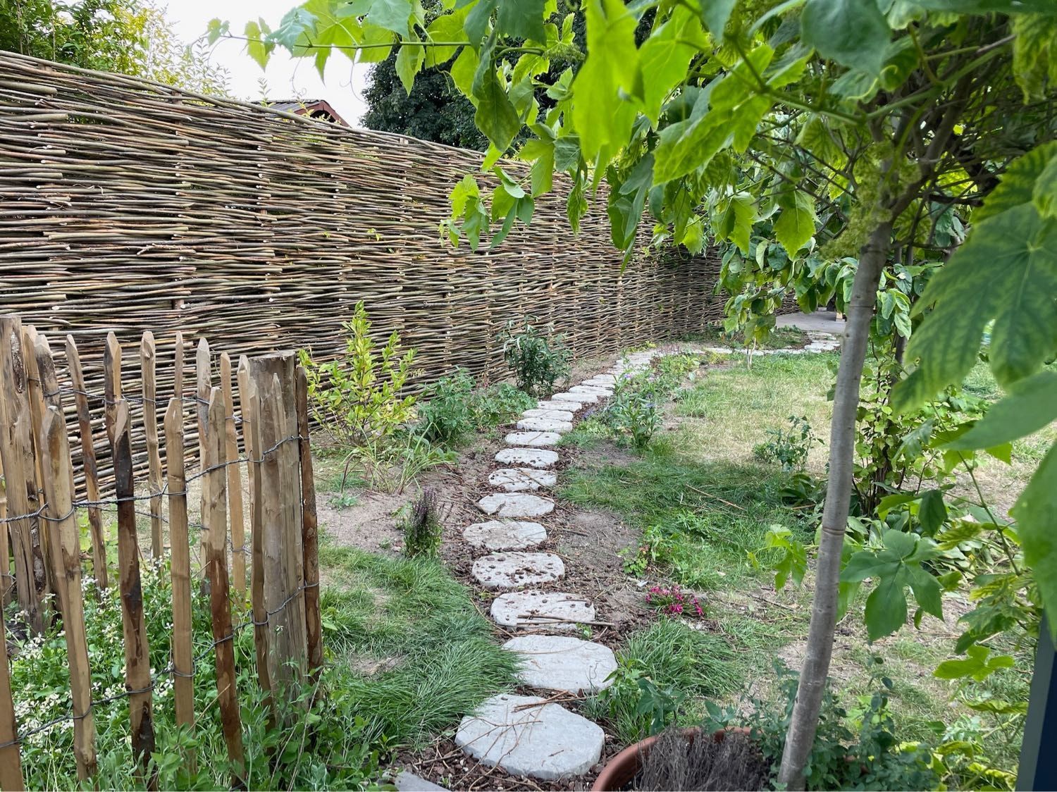 image-4