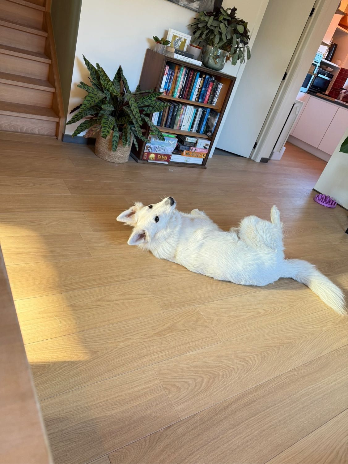 image-10