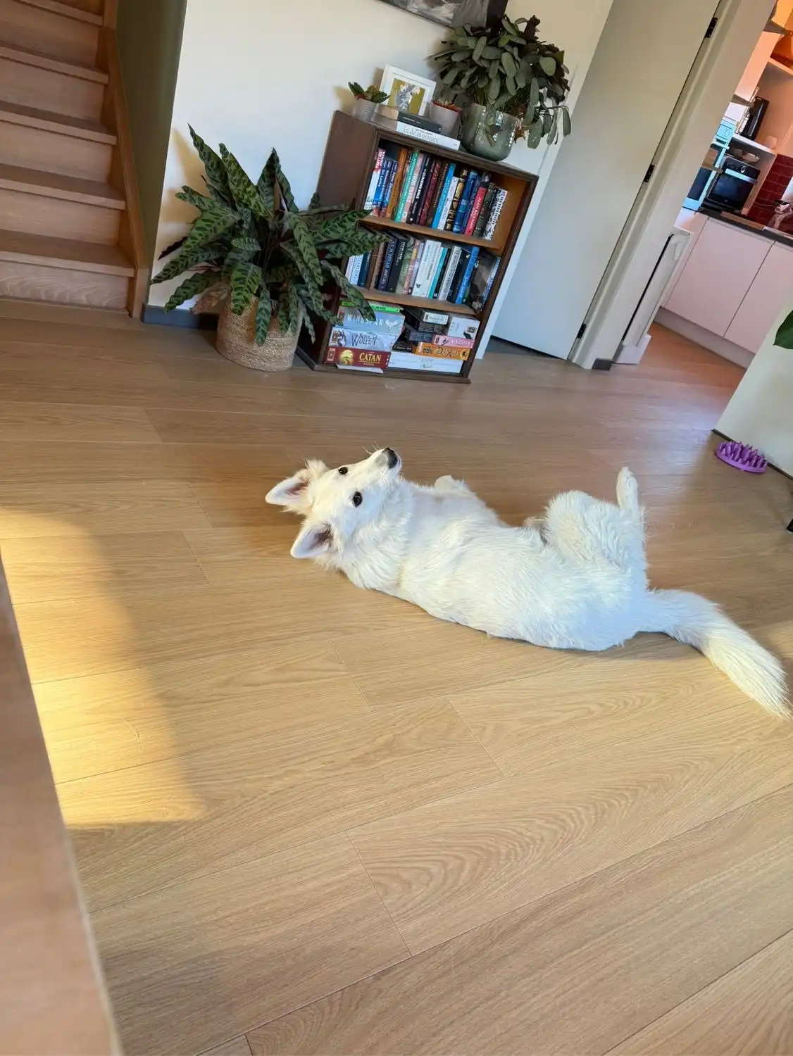image-10